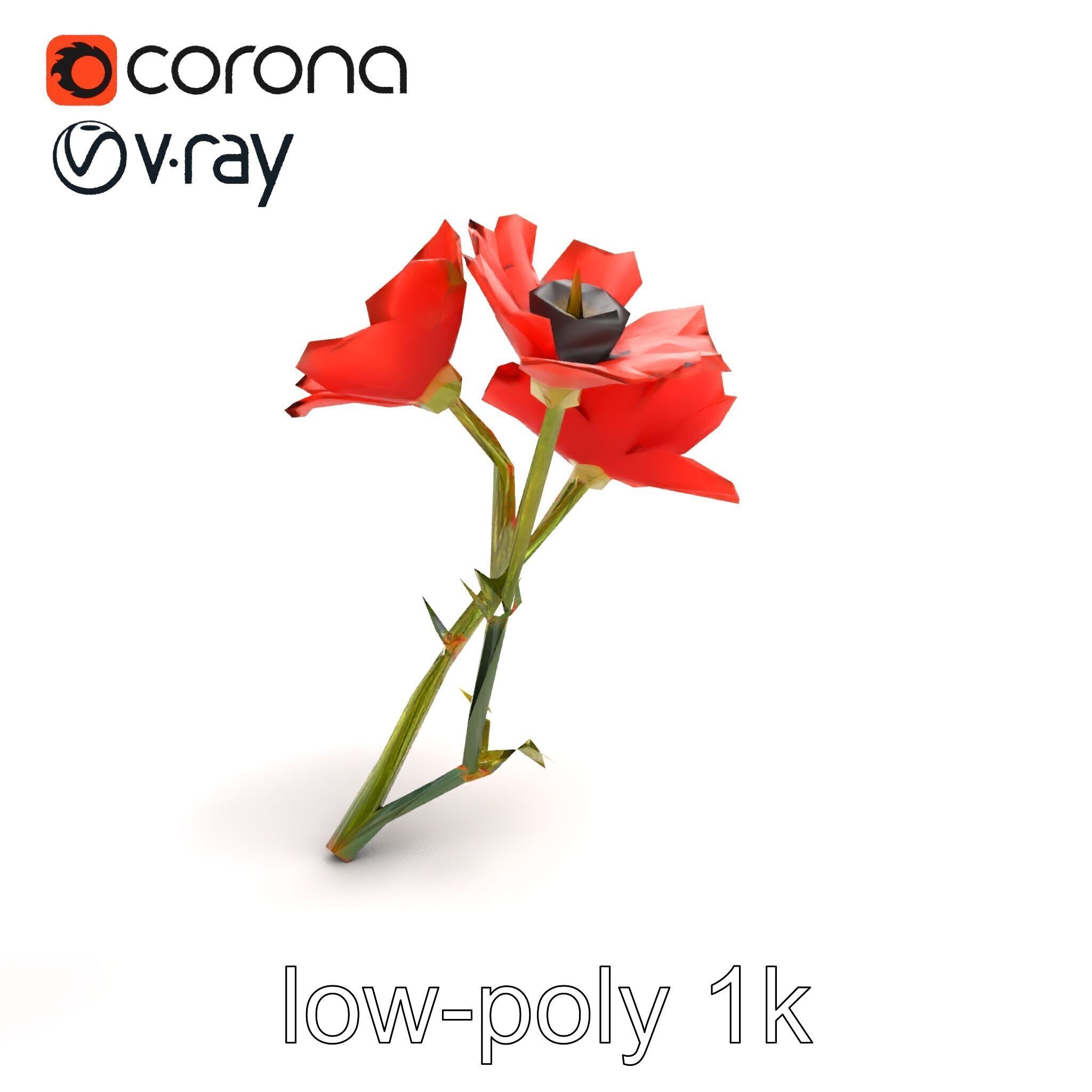 Papaver Minor Small Flower Model Pack Low-poly 3D model_8