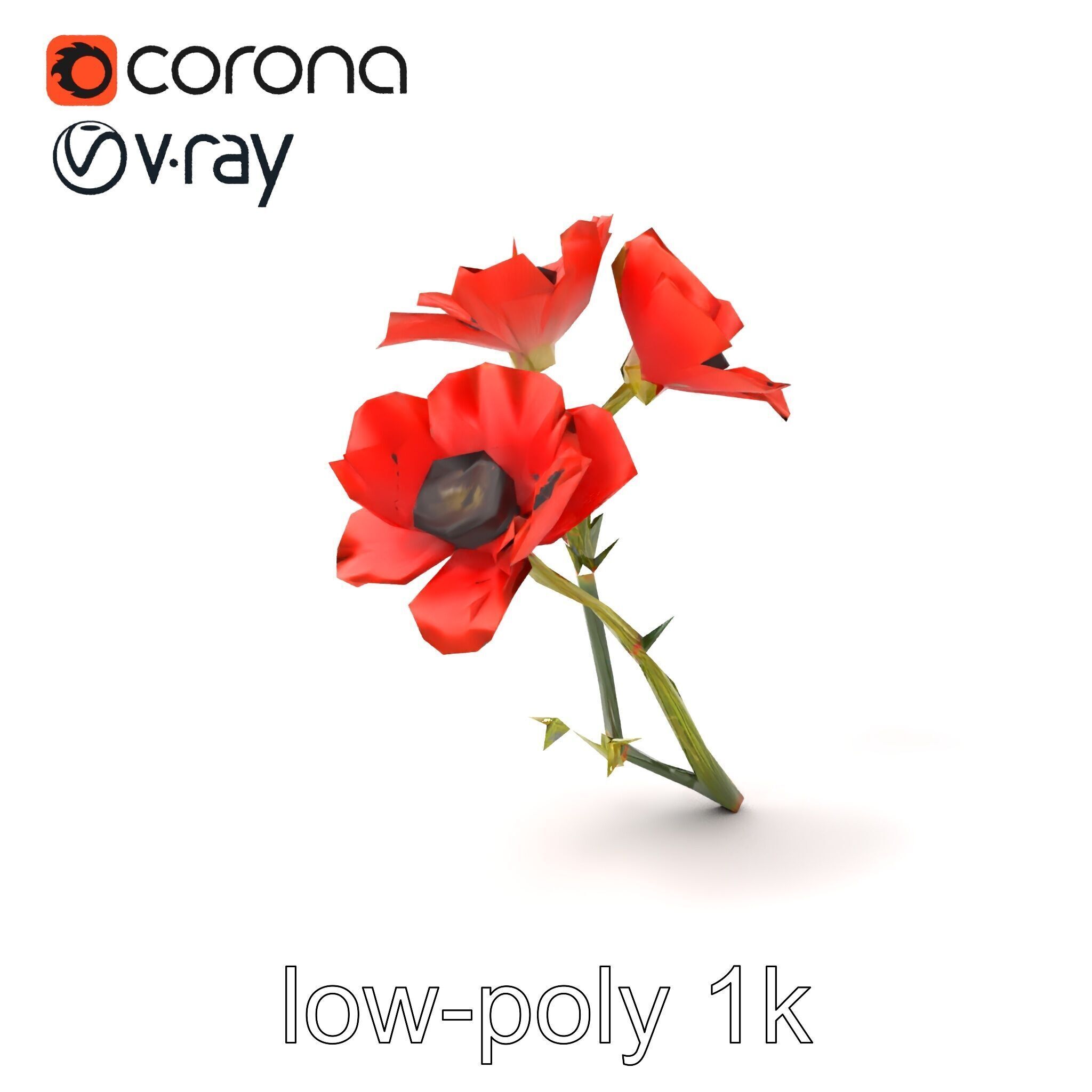 Papaver Minor Small Flower Model Pack Low-poly 3D model_4