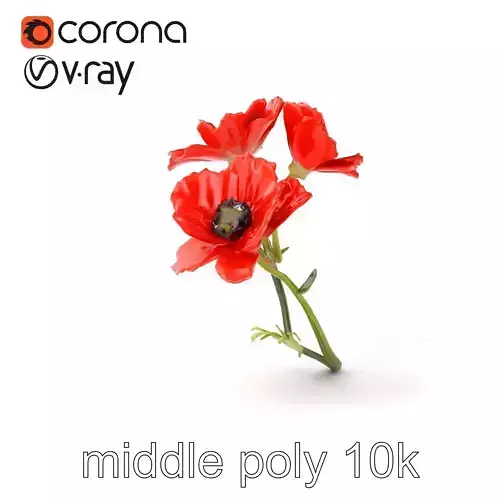 Papaver Minor Small Flower Model Pack