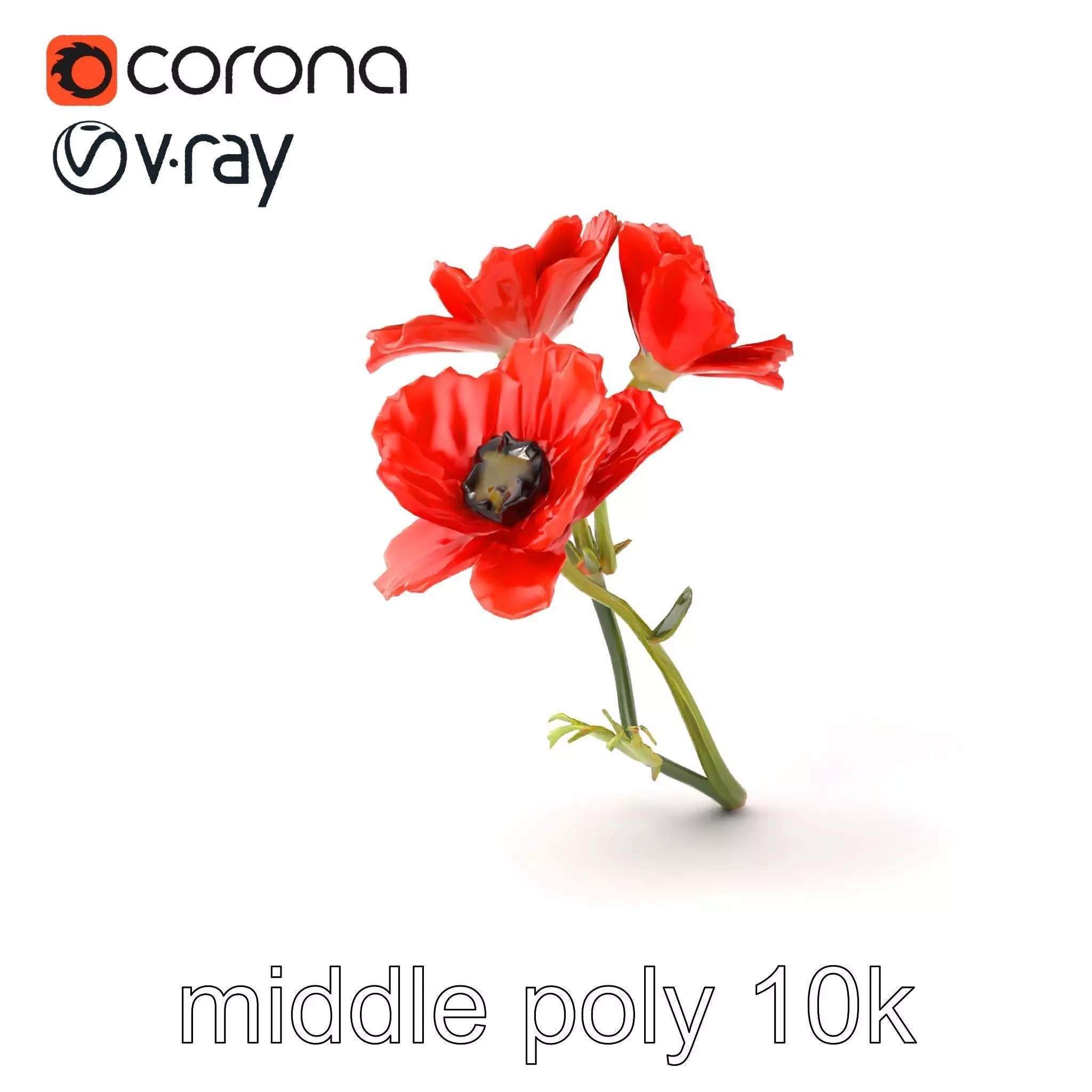 Papaver Minor Small Flower Model Pack Low-poly 3D model_0