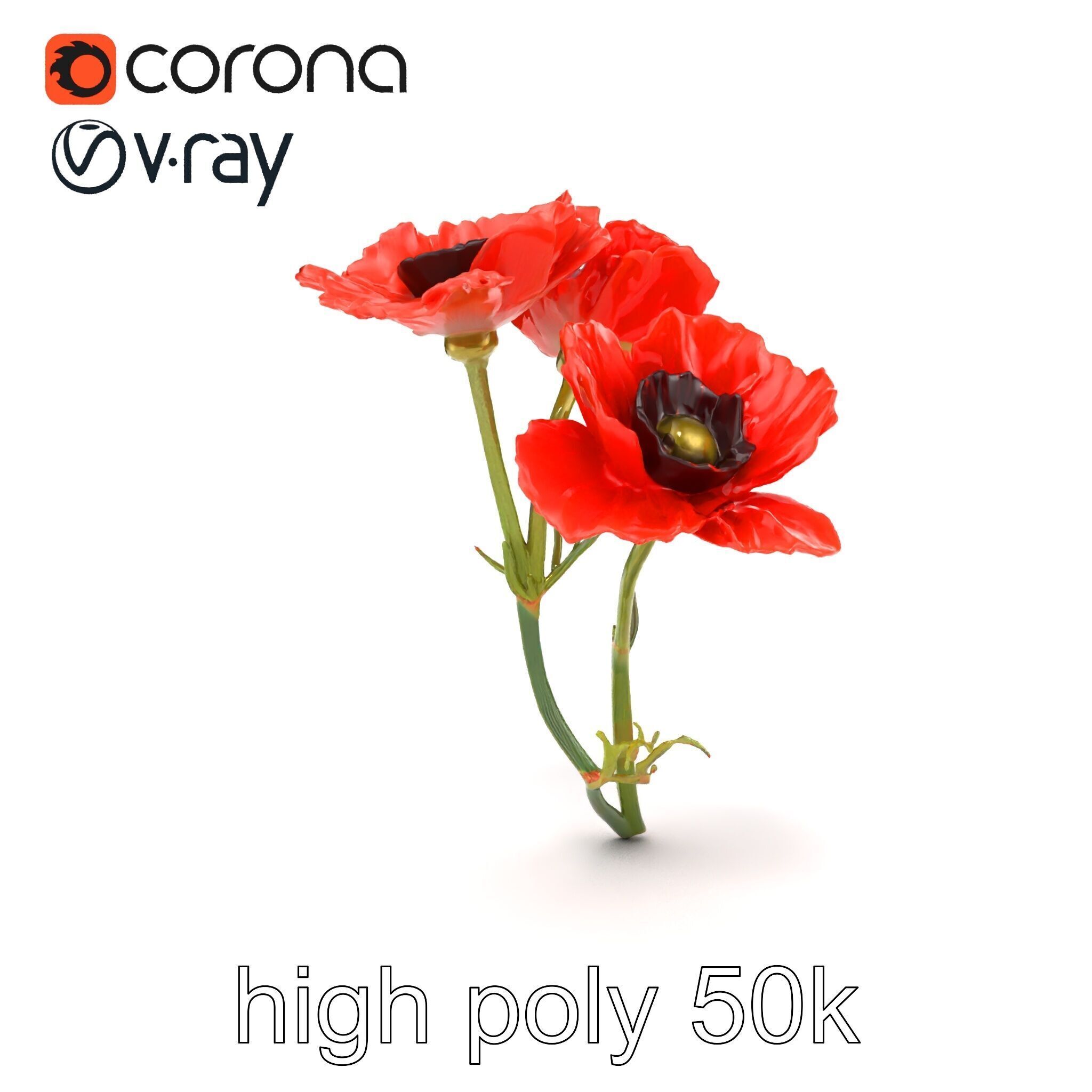Papaver Minor Small Flower Model Pack Low-poly 3D model_23