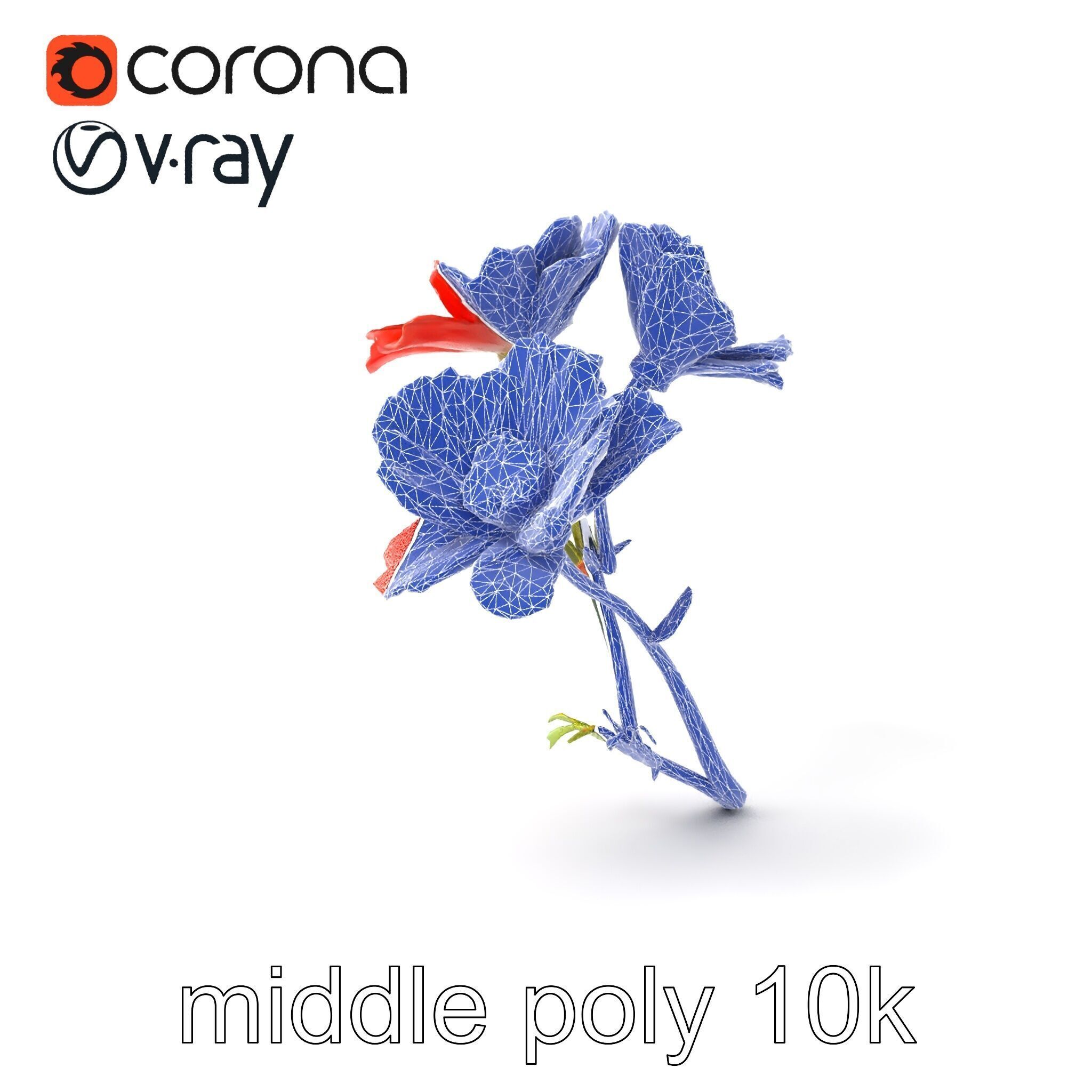 Papaver Minor Small Flower Model Pack Low-poly 3D model_5
