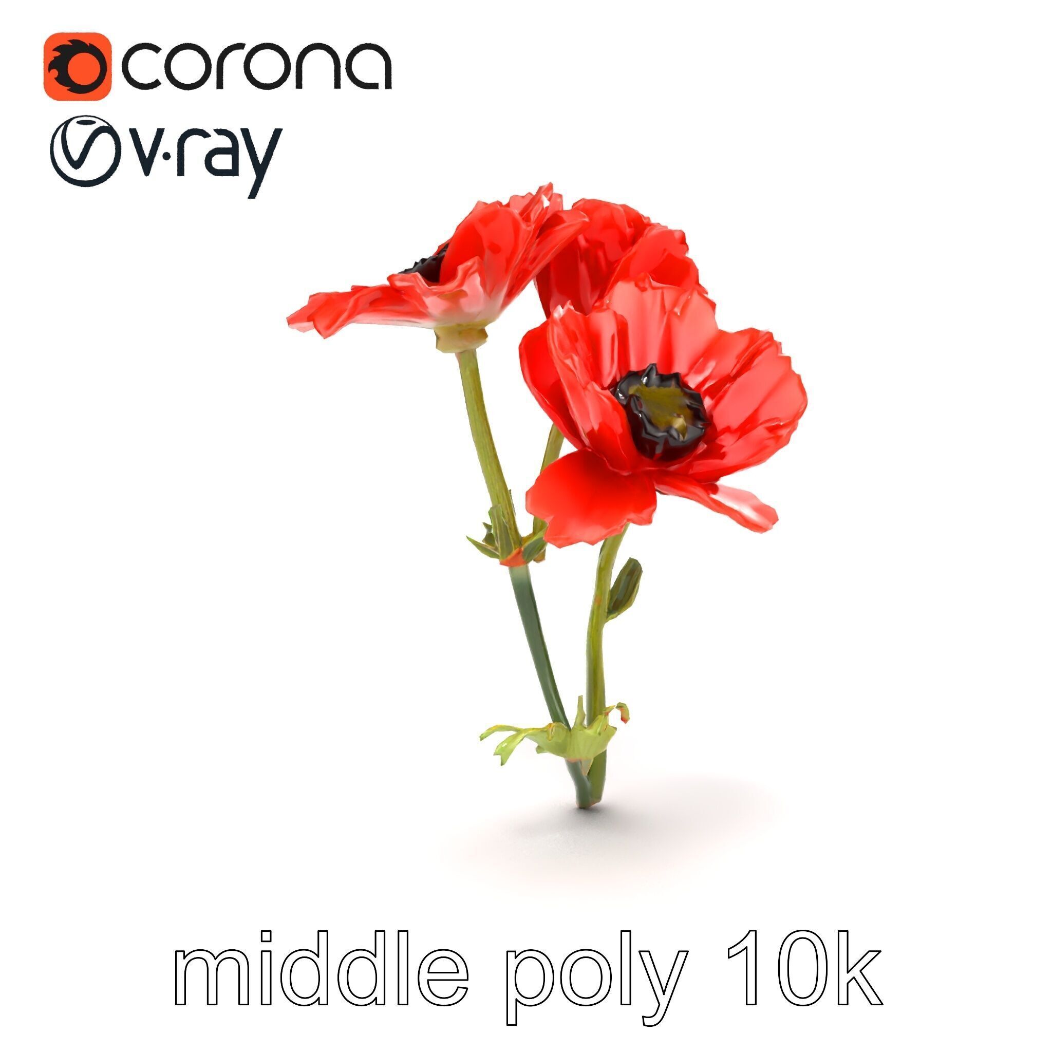 Papaver Minor Small Flower Model Pack Low-poly 3D model_17