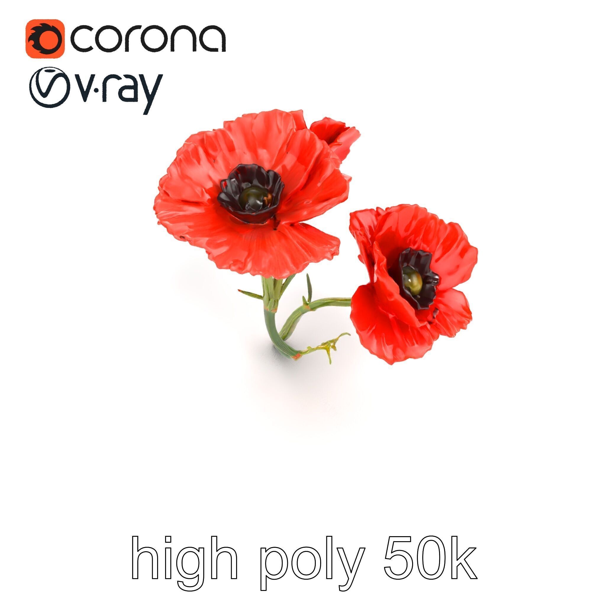 Papaver Minor Small Flower Model Pack Low-poly 3D model_21