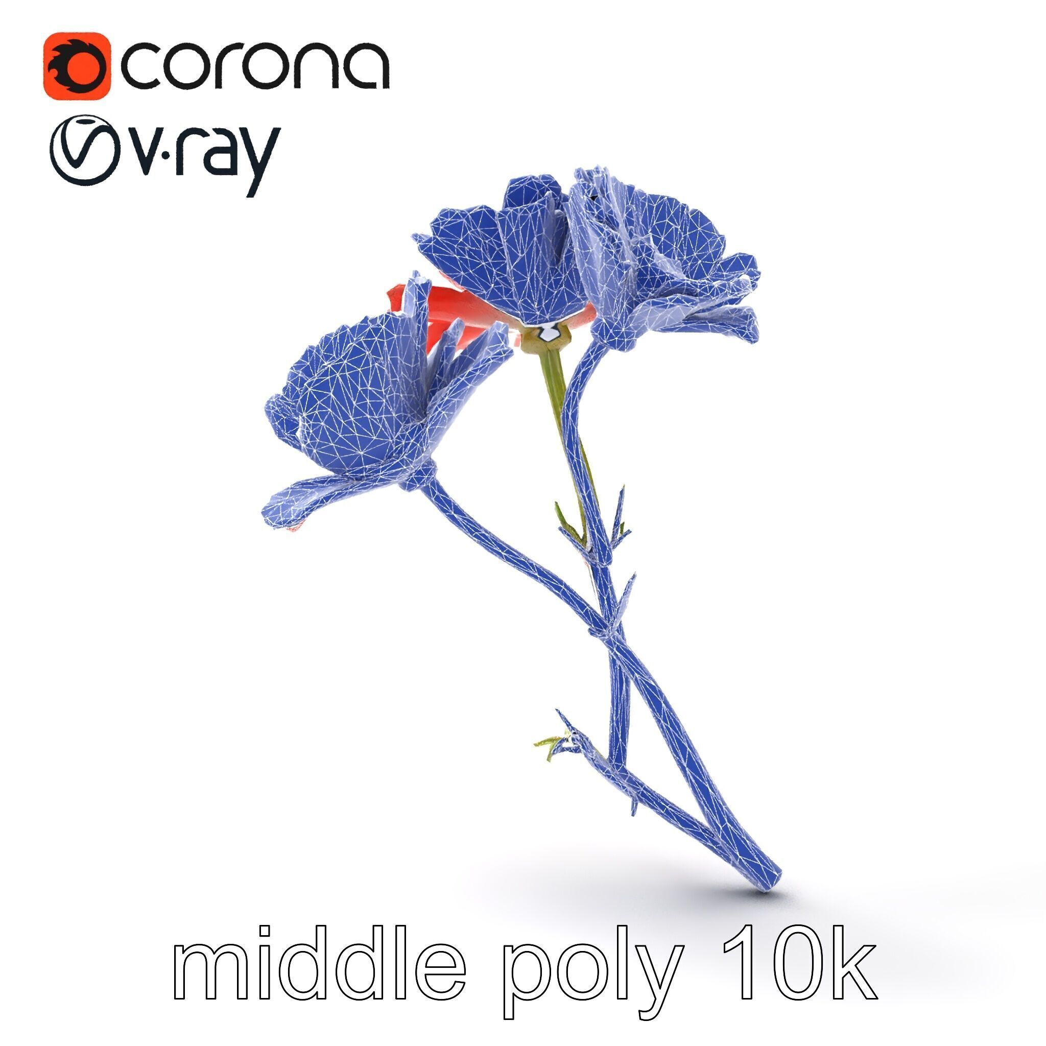 Papaver Minor Small Flower Model Pack Low-poly 3D model_16