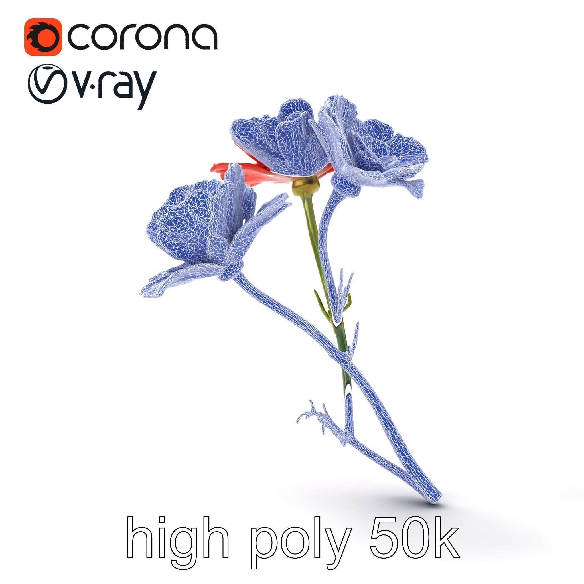 Papaver Minor Small Flower Model Pack Low-poly 3D model_11