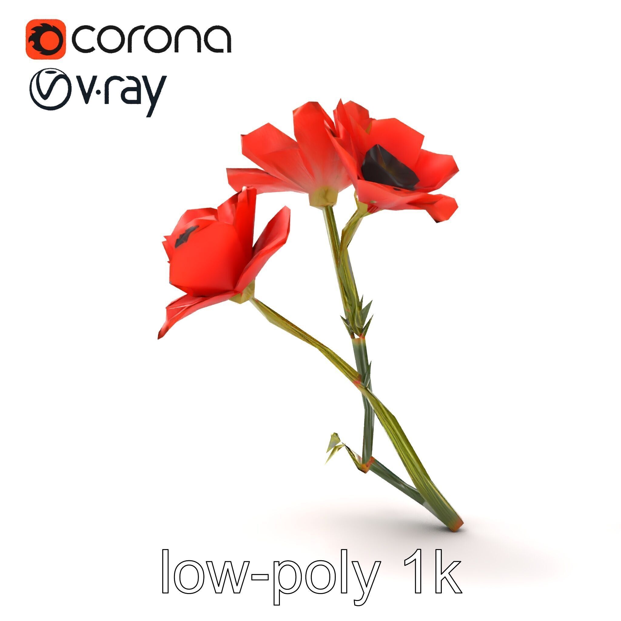 Papaver Minor Small Flower Model Pack Low-poly 3D model_24