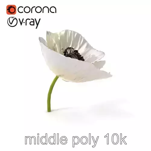 White Poppy Flower Realistic Sculpture model pack