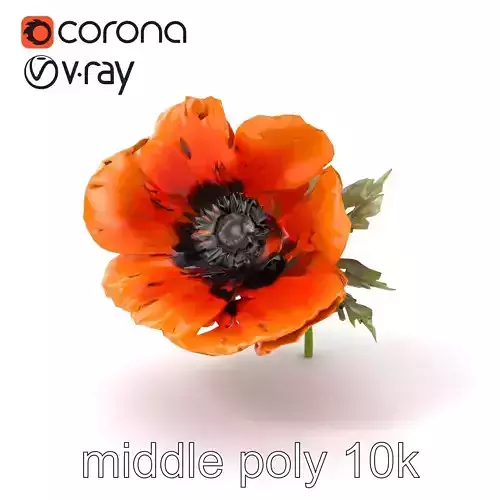 Papaver Orange Blossom Realistic Flower model pack
