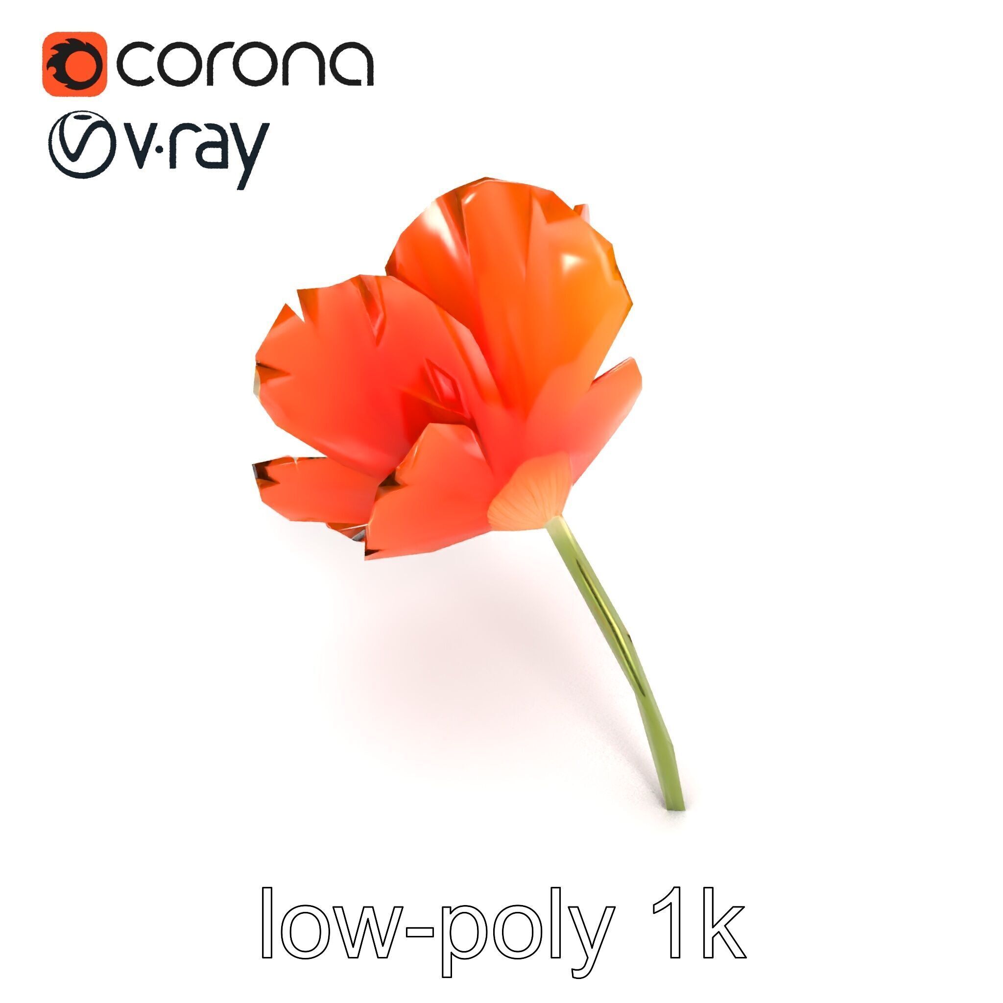 Orange Poppy Flower Realistic Botanical model pack Low-poly 3D model_21