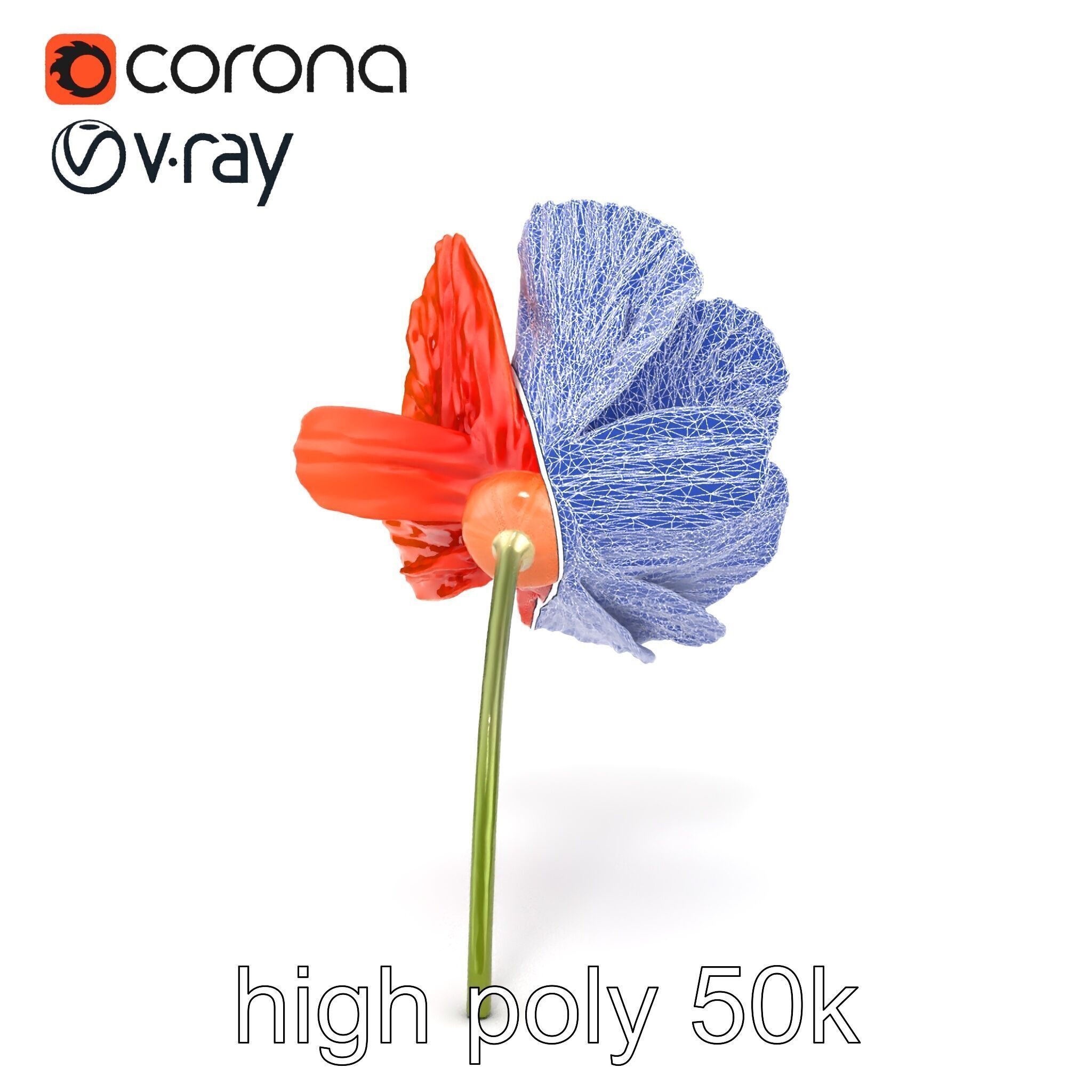Orange Poppy Flower Realistic Botanical model pack Low-poly 3D model_32