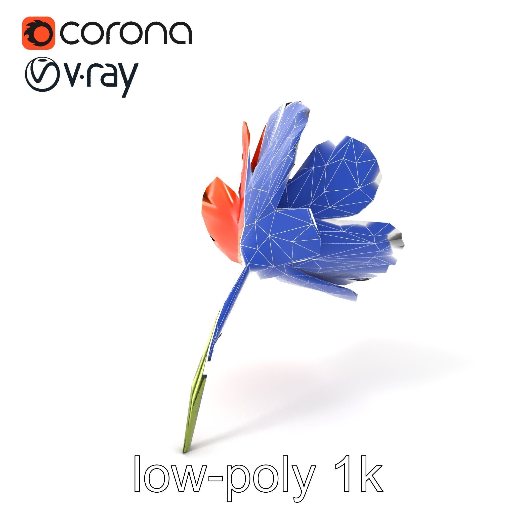 Orange Poppy Flower Realistic Botanical model pack Low-poly 3D model_7