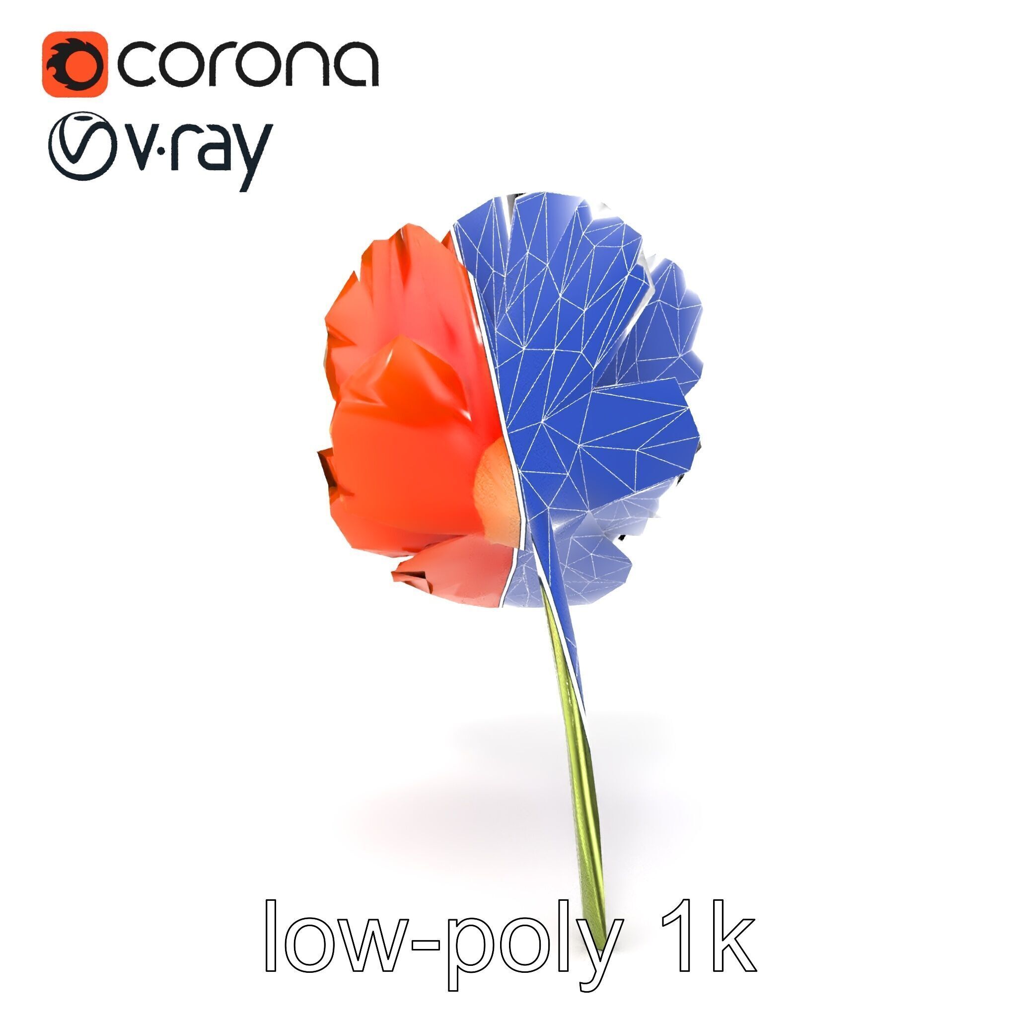 Orange Poppy Flower Realistic Botanical model pack Low-poly 3D model_27