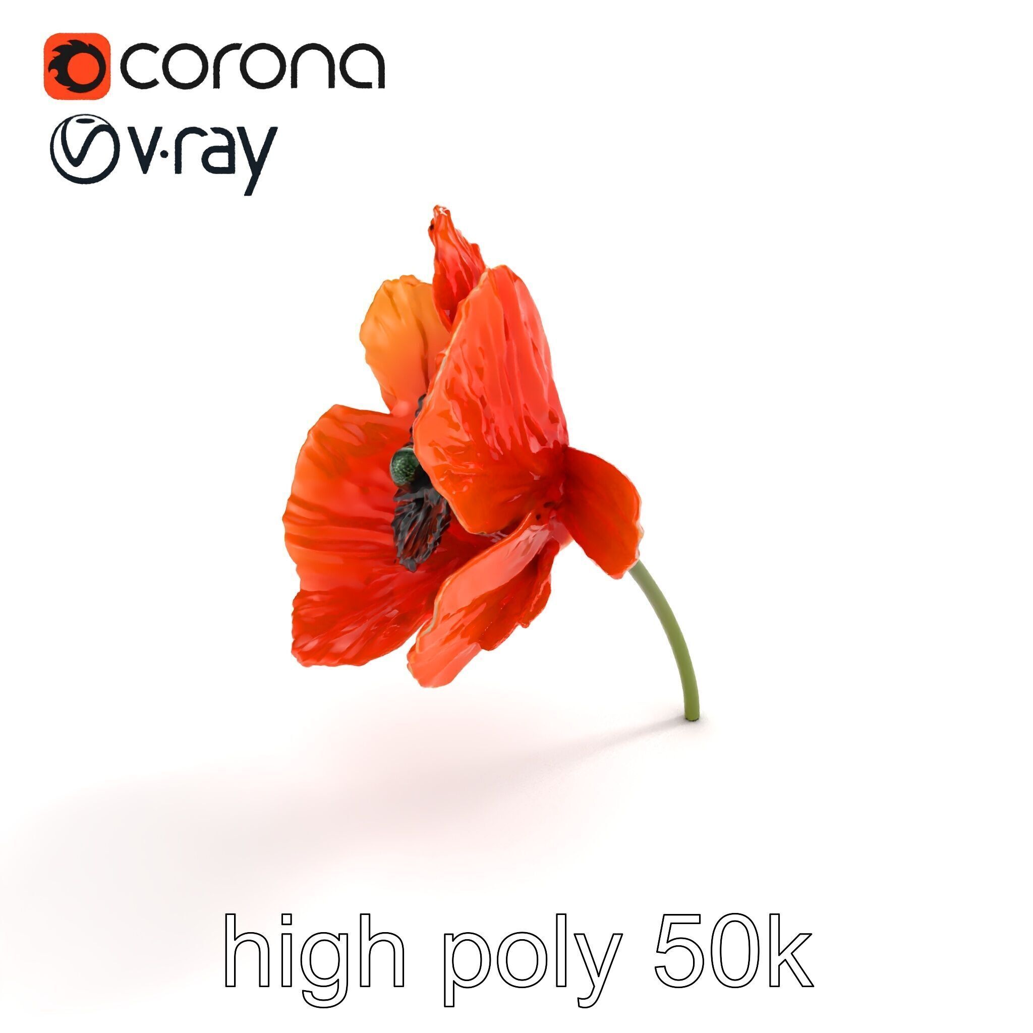 Orange Poppy Flower Realistic Botanical model pack Low-poly 3D model_28