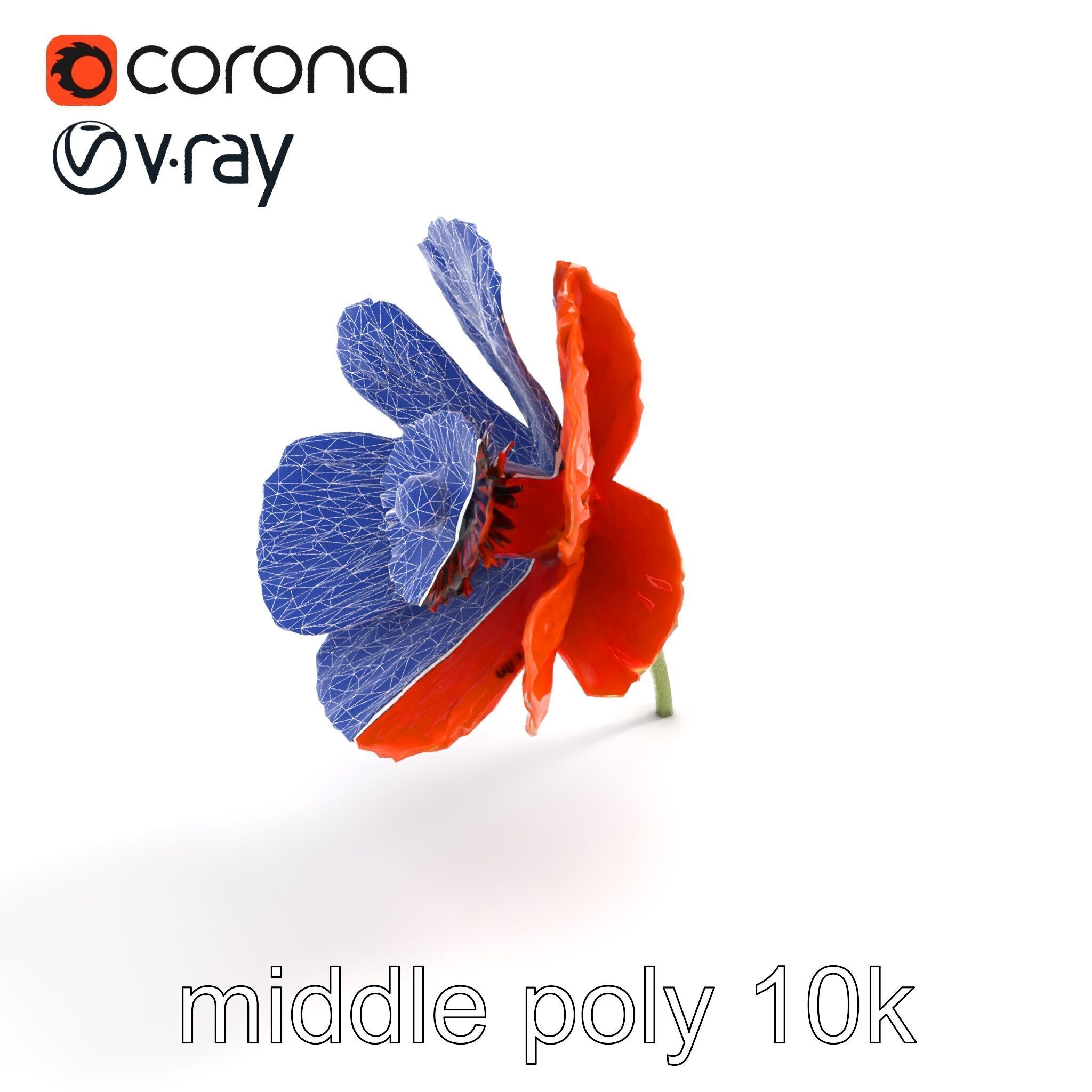 Orange Poppy Flower Realistic Botanical model pack Low-poly 3D model_13