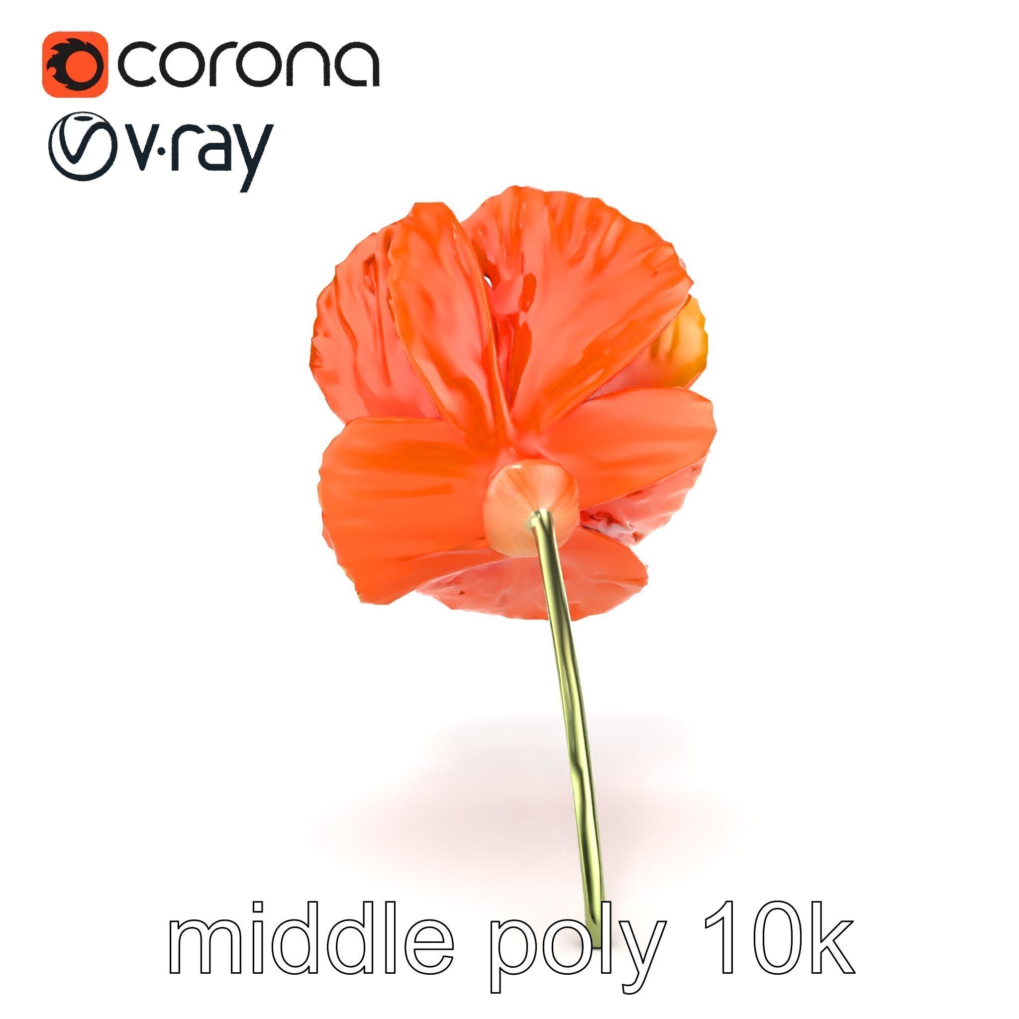 Orange Poppy Flower Realistic Botanical model pack Low-poly 3D model_14