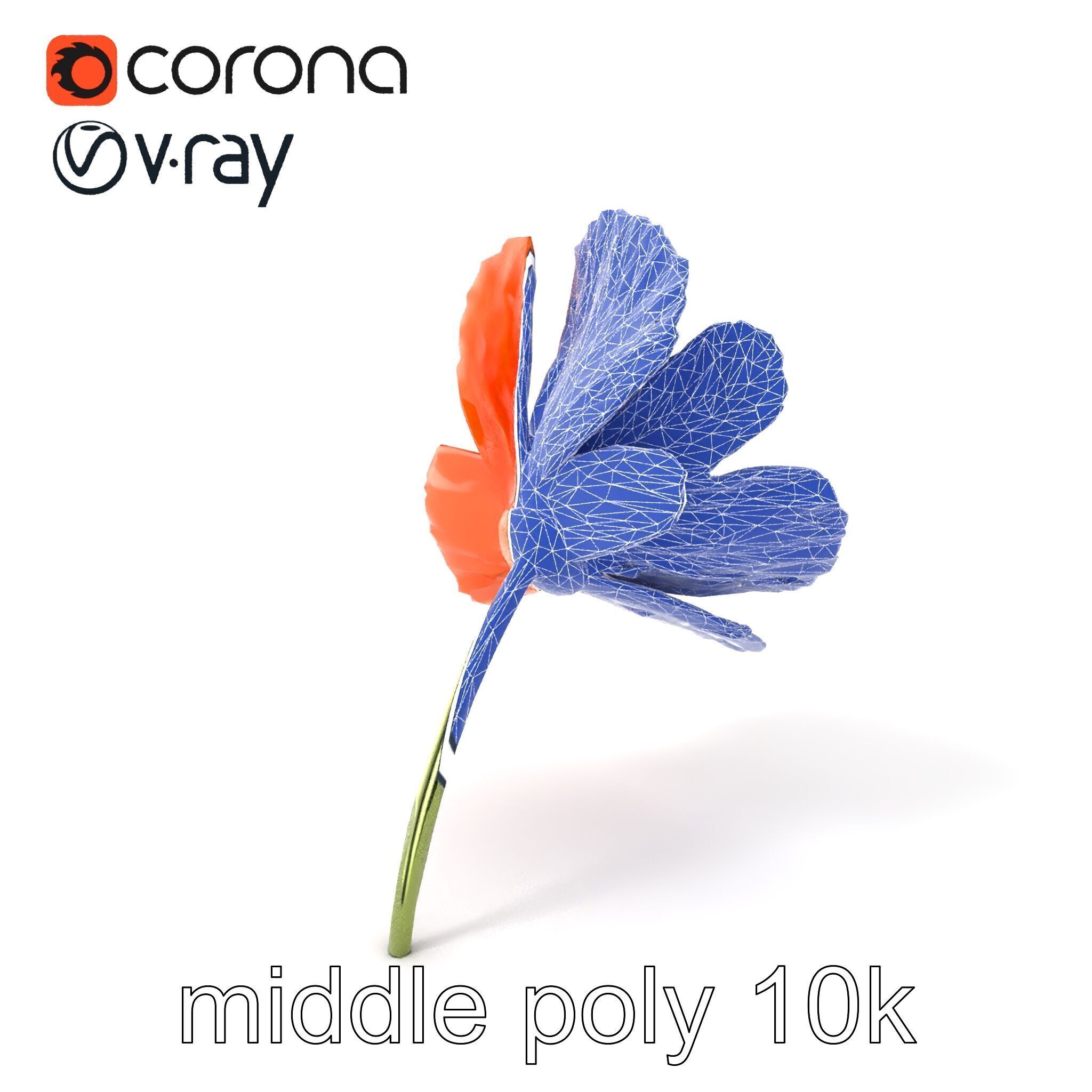 Orange Poppy Flower Realistic Botanical model pack Low-poly 3D model_6