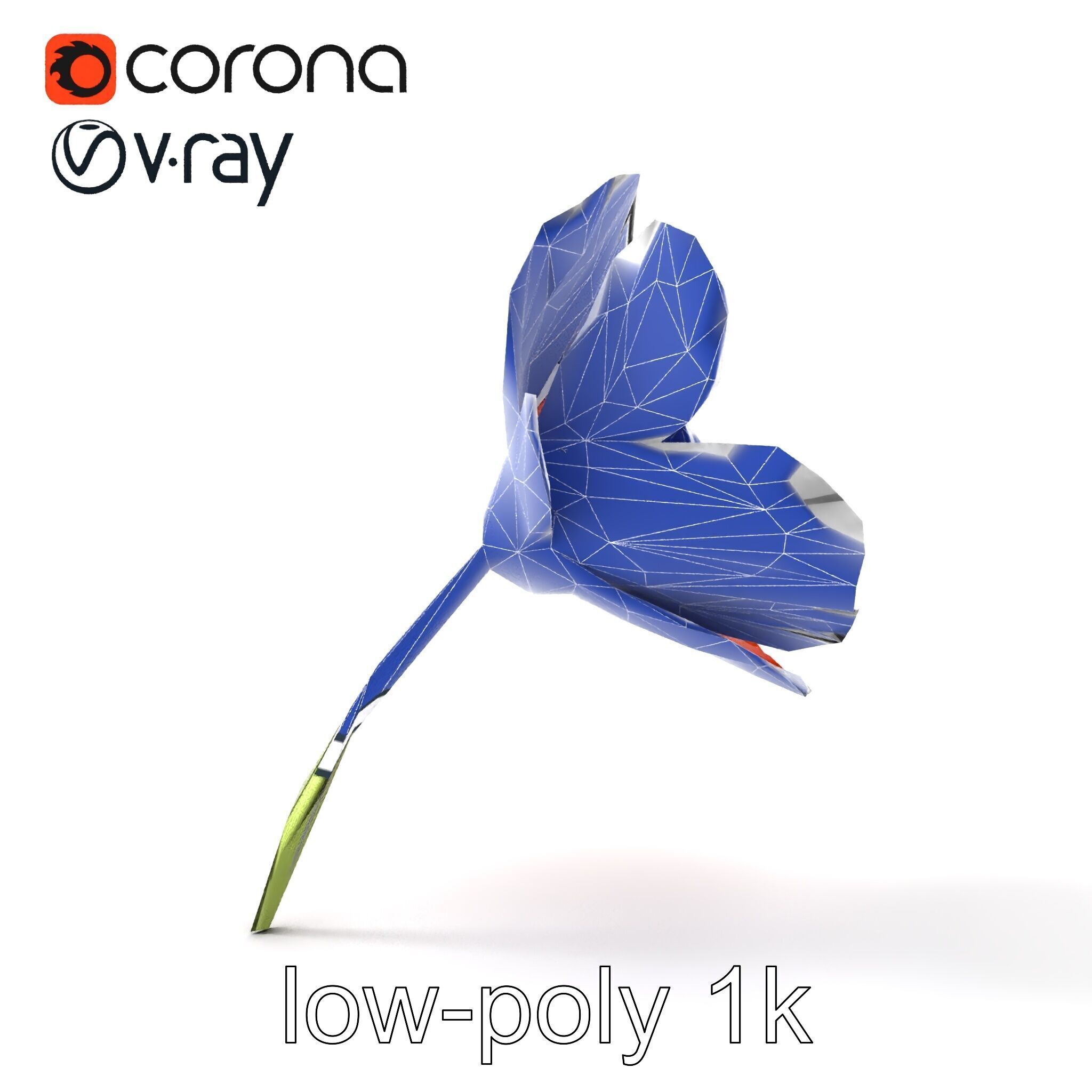 Orange Poppy Flower Realistic Botanical model pack Low-poly 3D model_23