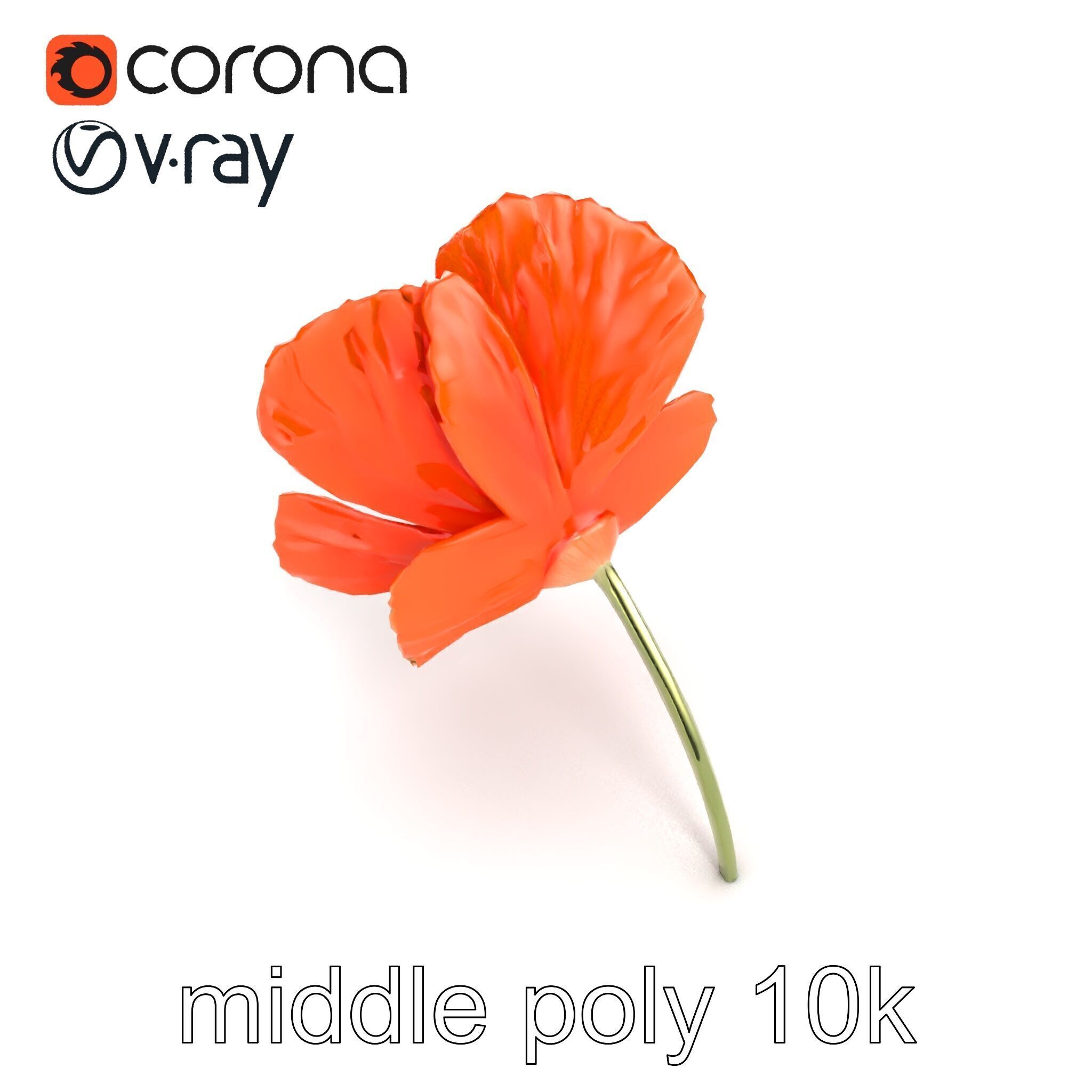 Orange Poppy Flower Realistic Botanical model pack Low-poly 3D model_20