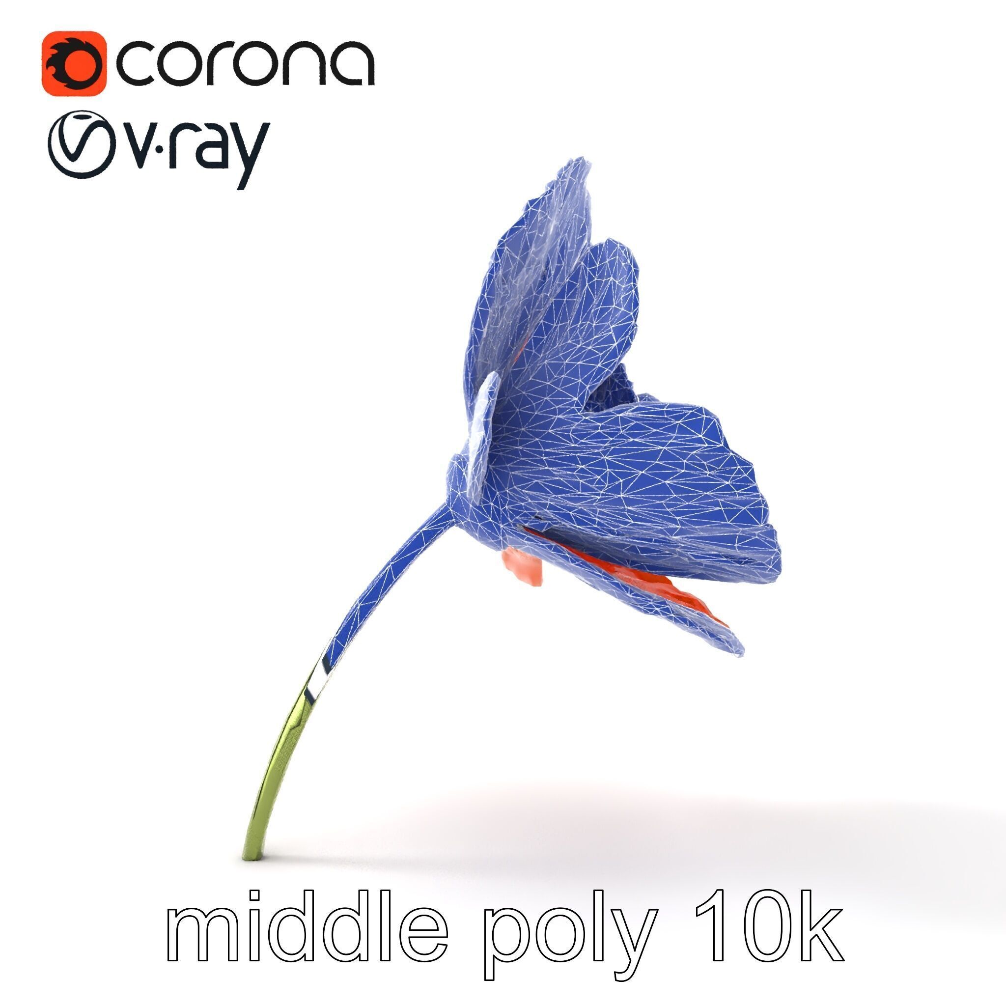 Orange Poppy Flower Realistic Botanical model pack Low-poly 3D model_25