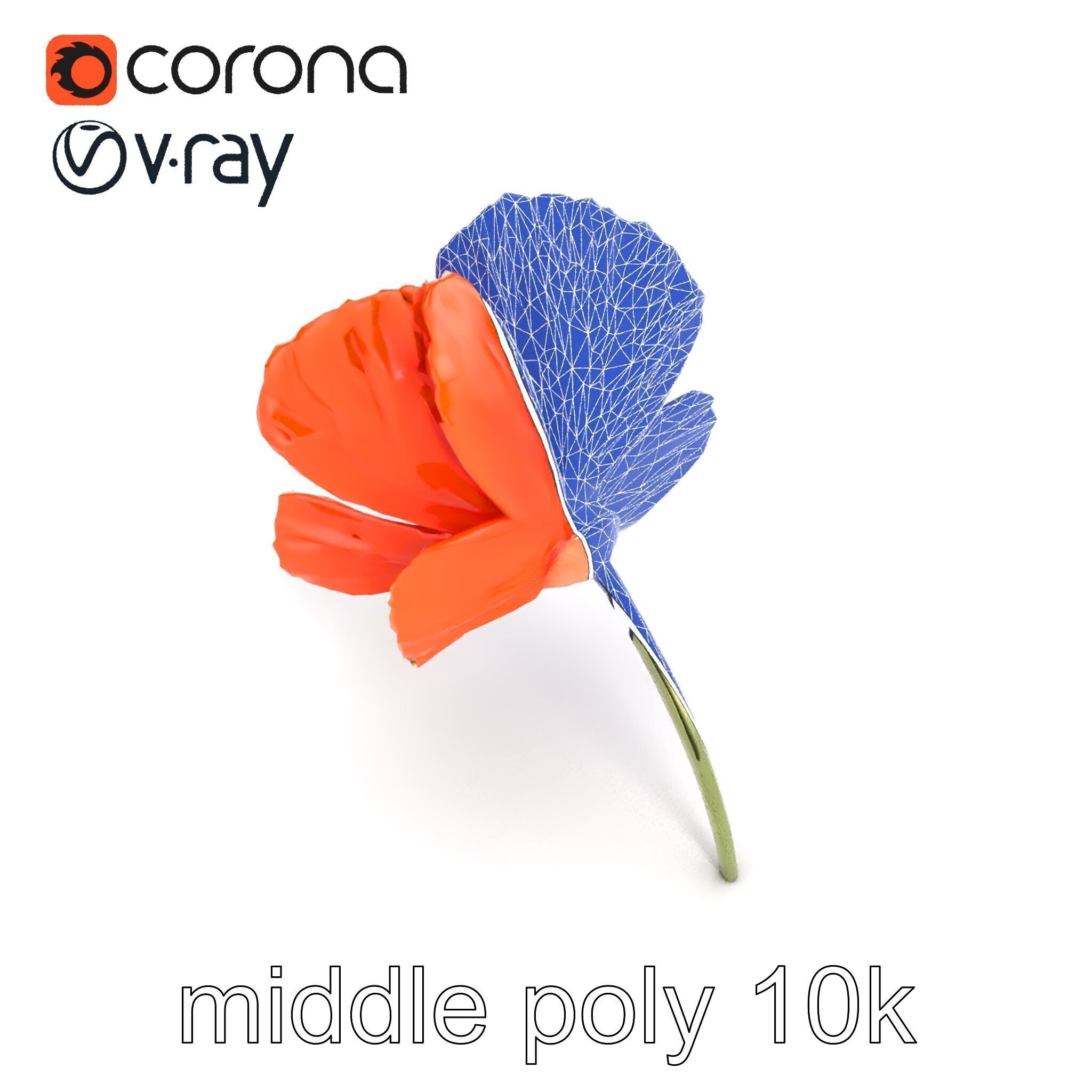 Orange Poppy Flower Realistic Botanical model pack Low-poly 3D model_11