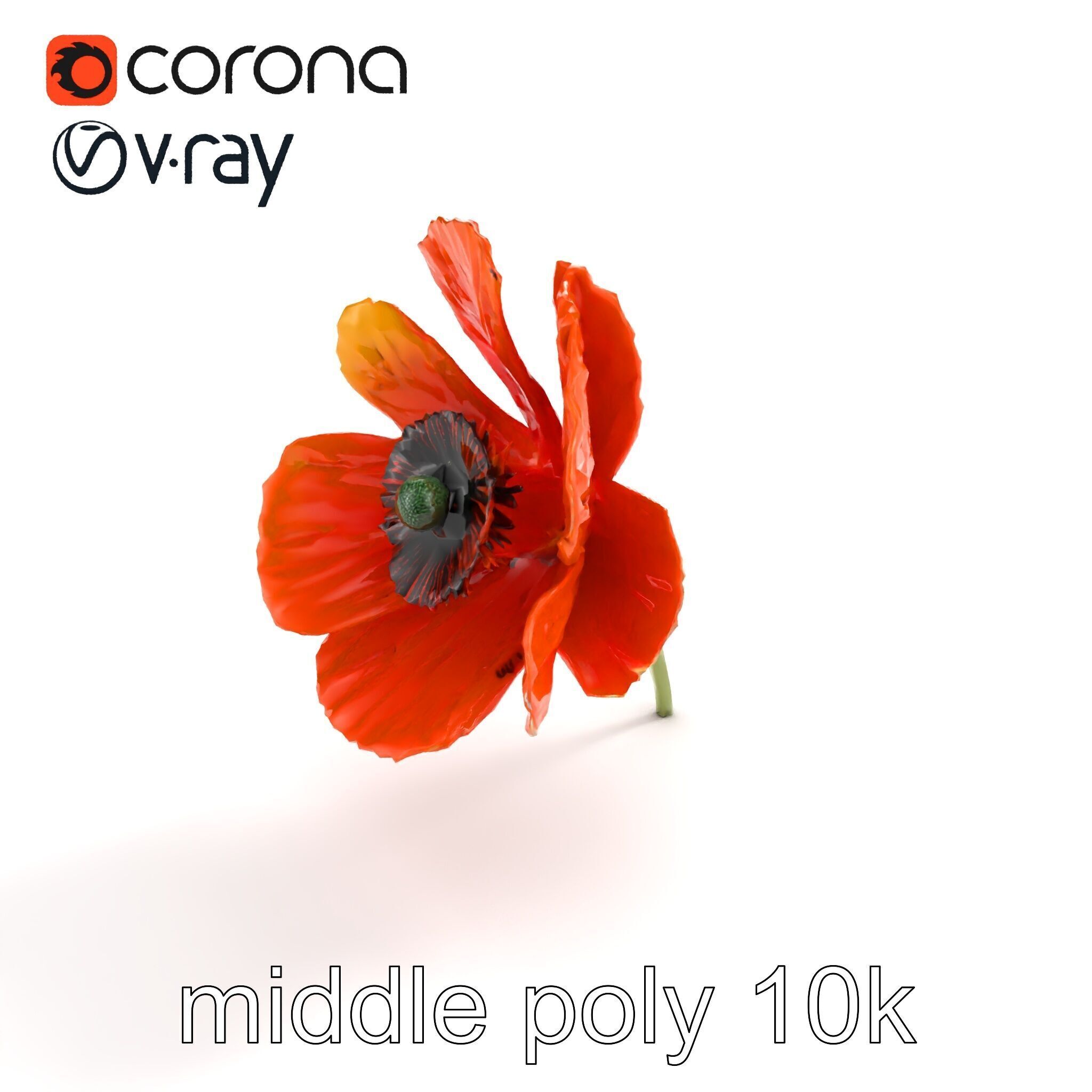 Orange Poppy Flower Realistic Botanical model pack Low-poly 3D model_8