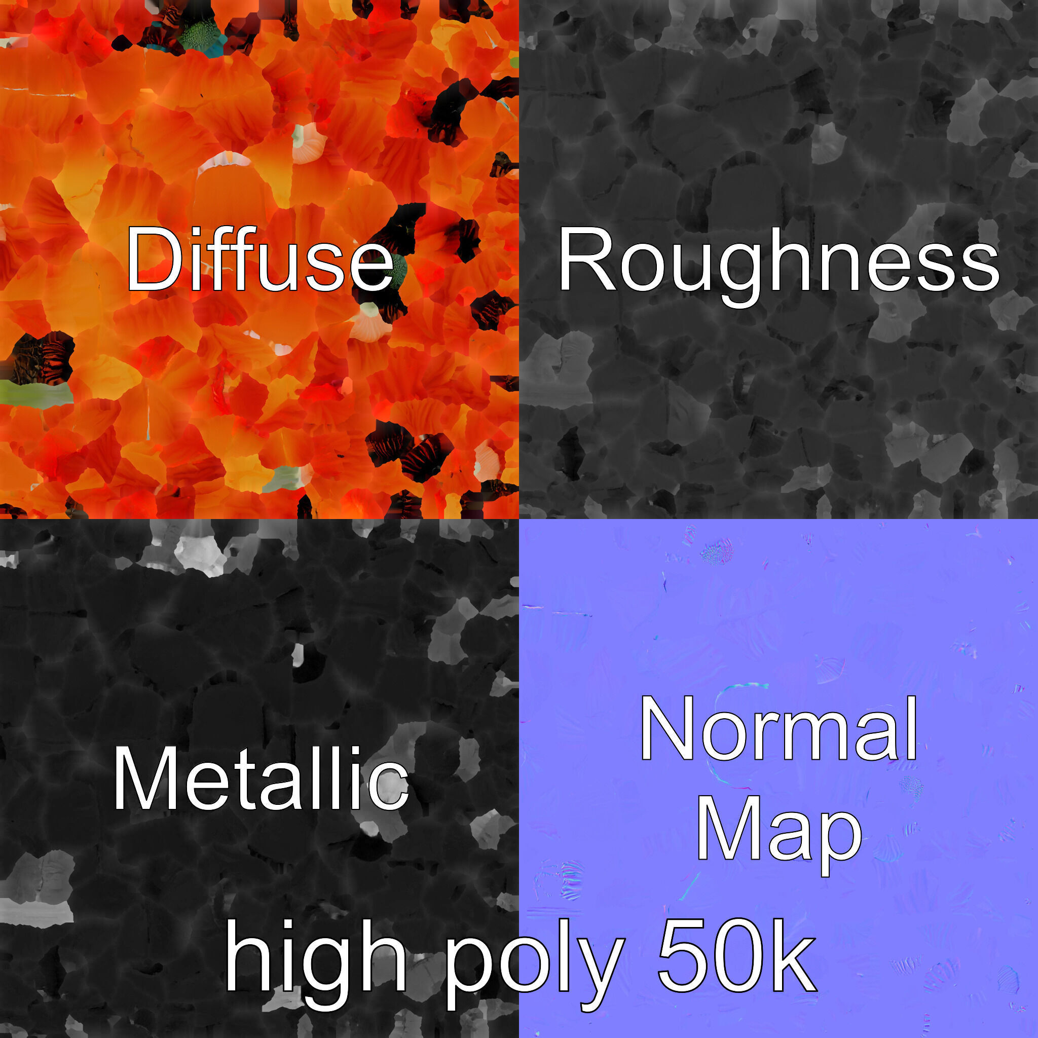 Orange Poppy Flower Realistic Botanical model pack Low-poly 3D model_3