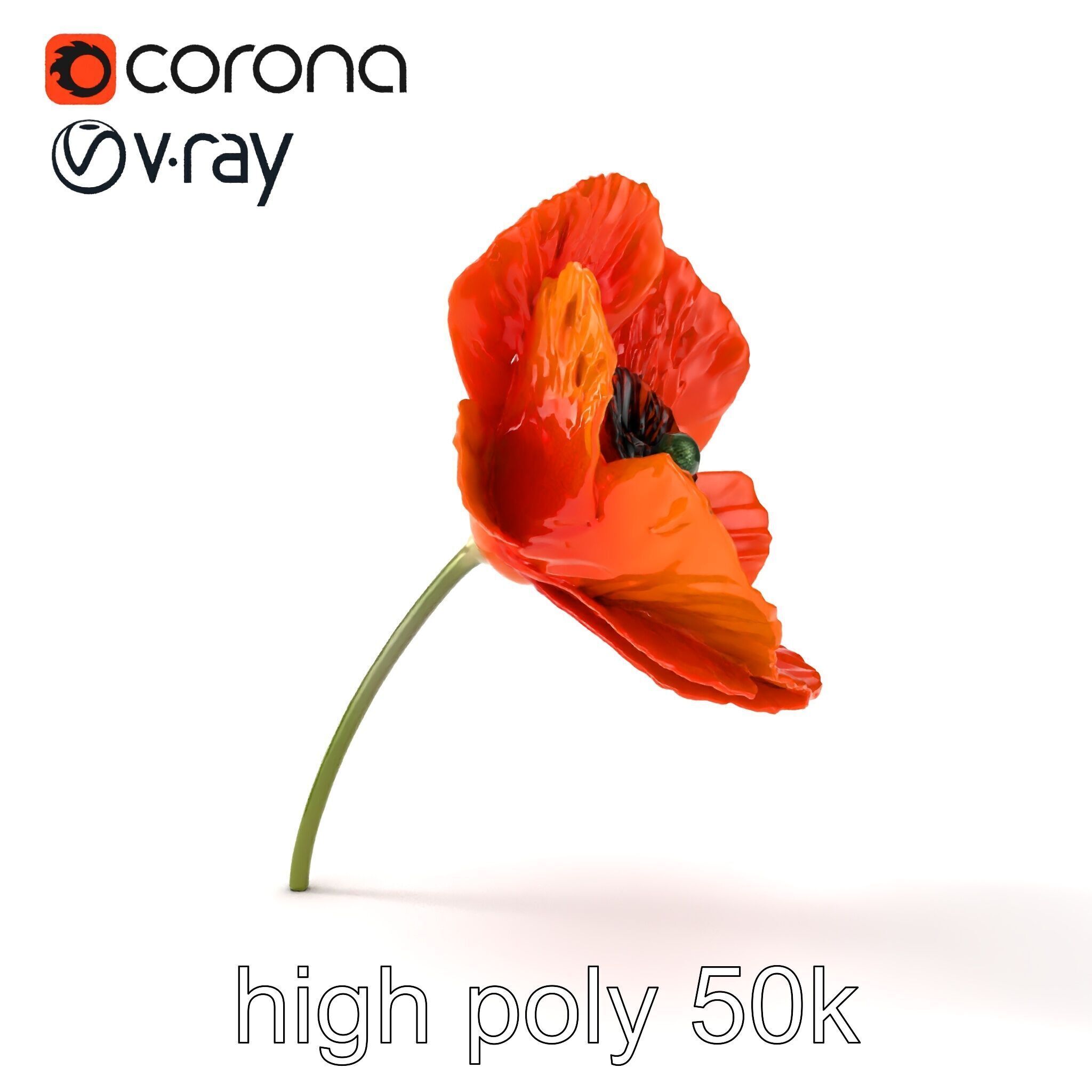 Orange Poppy Flower Realistic Botanical model pack Low-poly 3D model_31