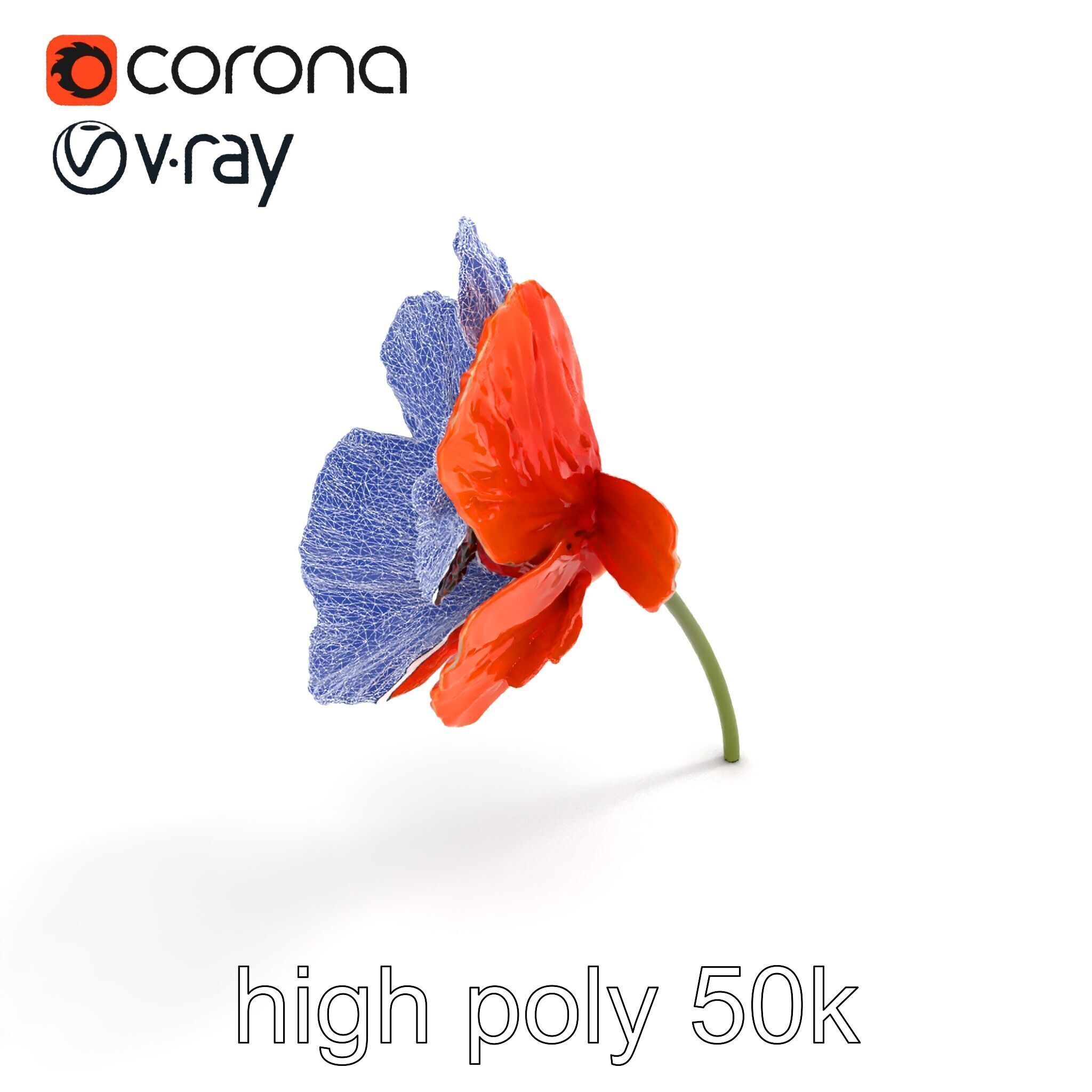 Orange Poppy Flower Realistic Botanical model pack Low-poly 3D model_12