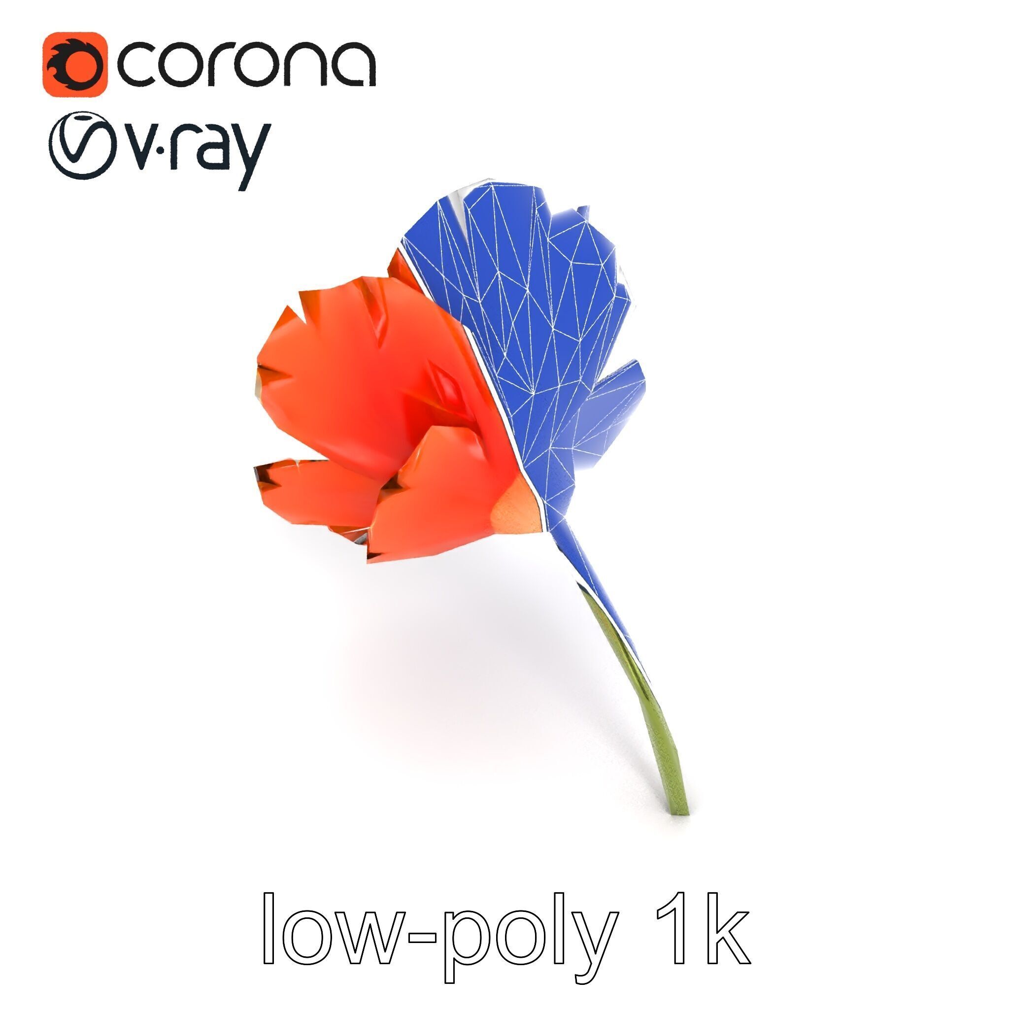 Orange Poppy Flower Realistic Botanical model pack Low-poly 3D model_26