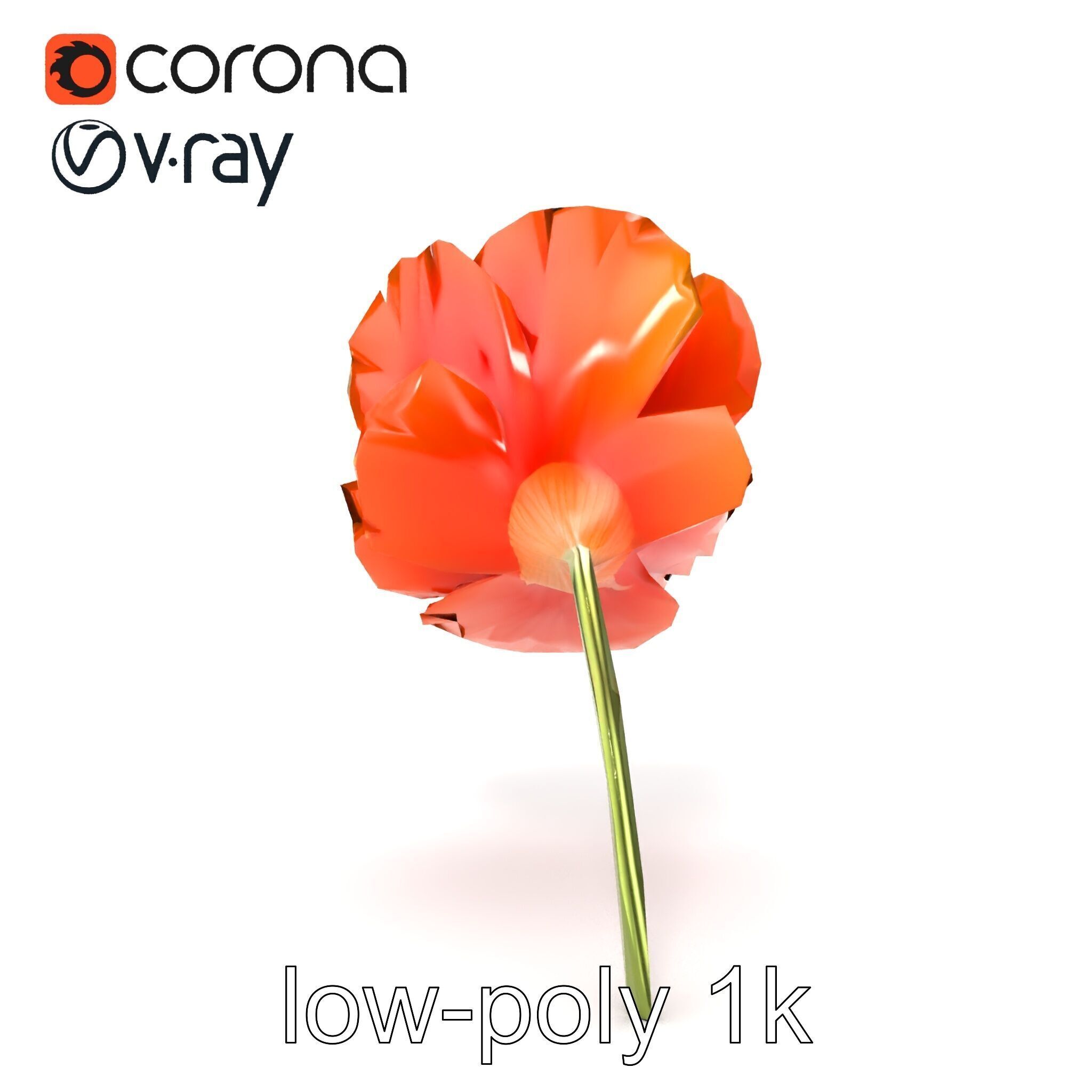 Orange Poppy Flower Realistic Botanical model pack Low-poly 3D model_17