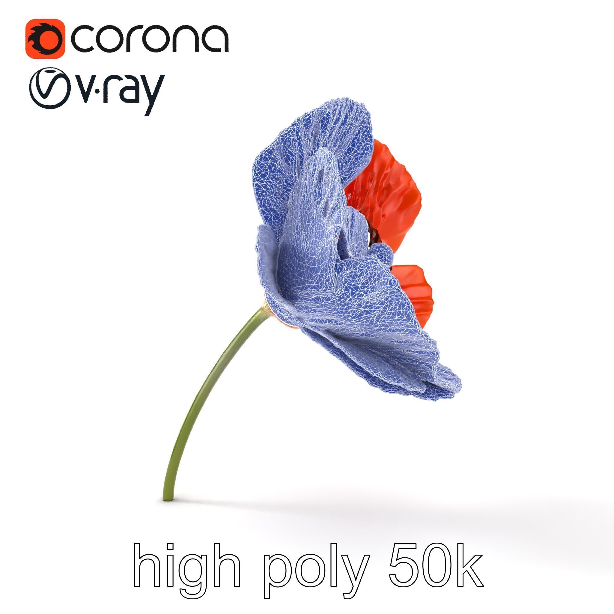 Orange Poppy Flower Realistic Botanical model pack Low-poly 3D model_18