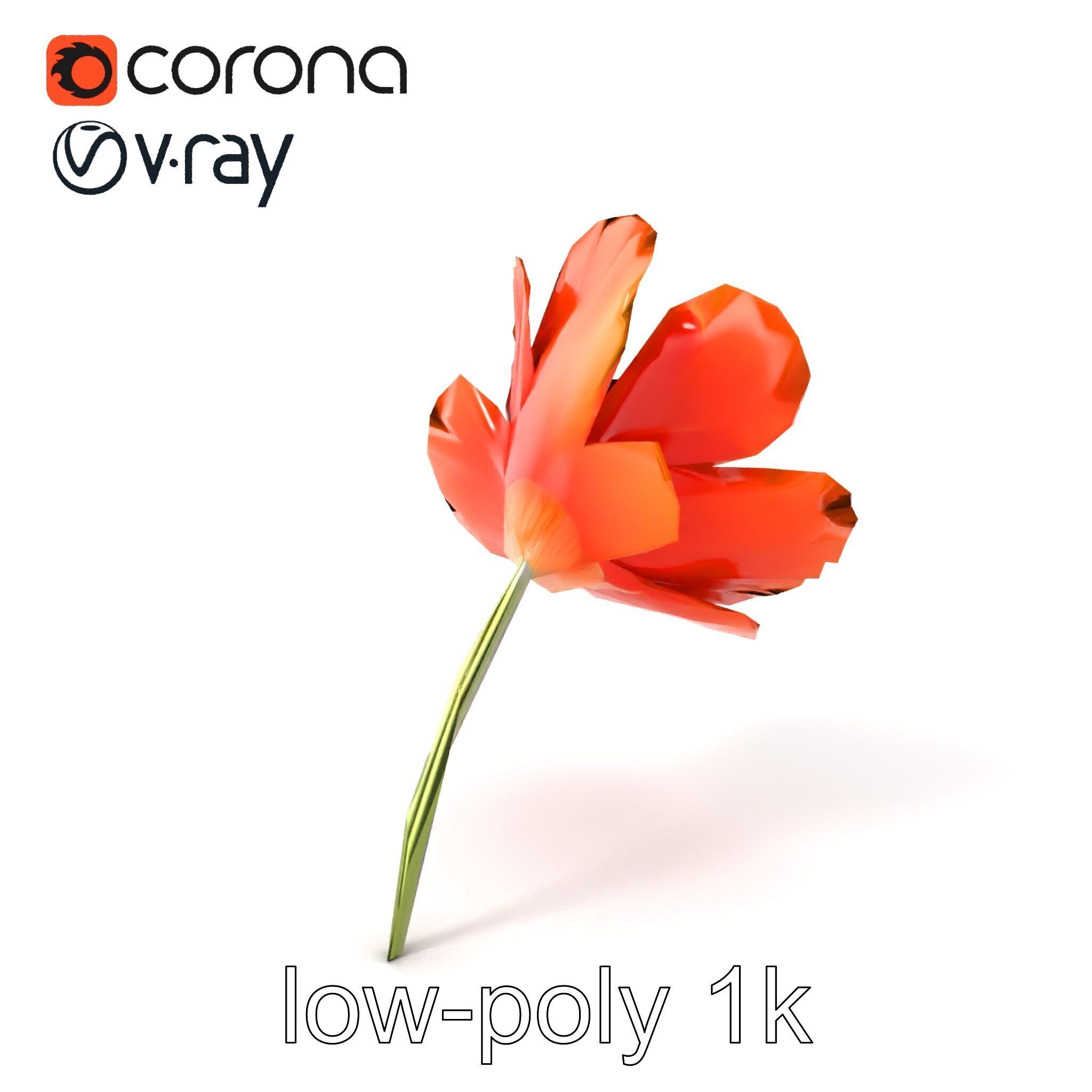 Orange Poppy Flower Realistic Botanical model pack Low-poly 3D model_5