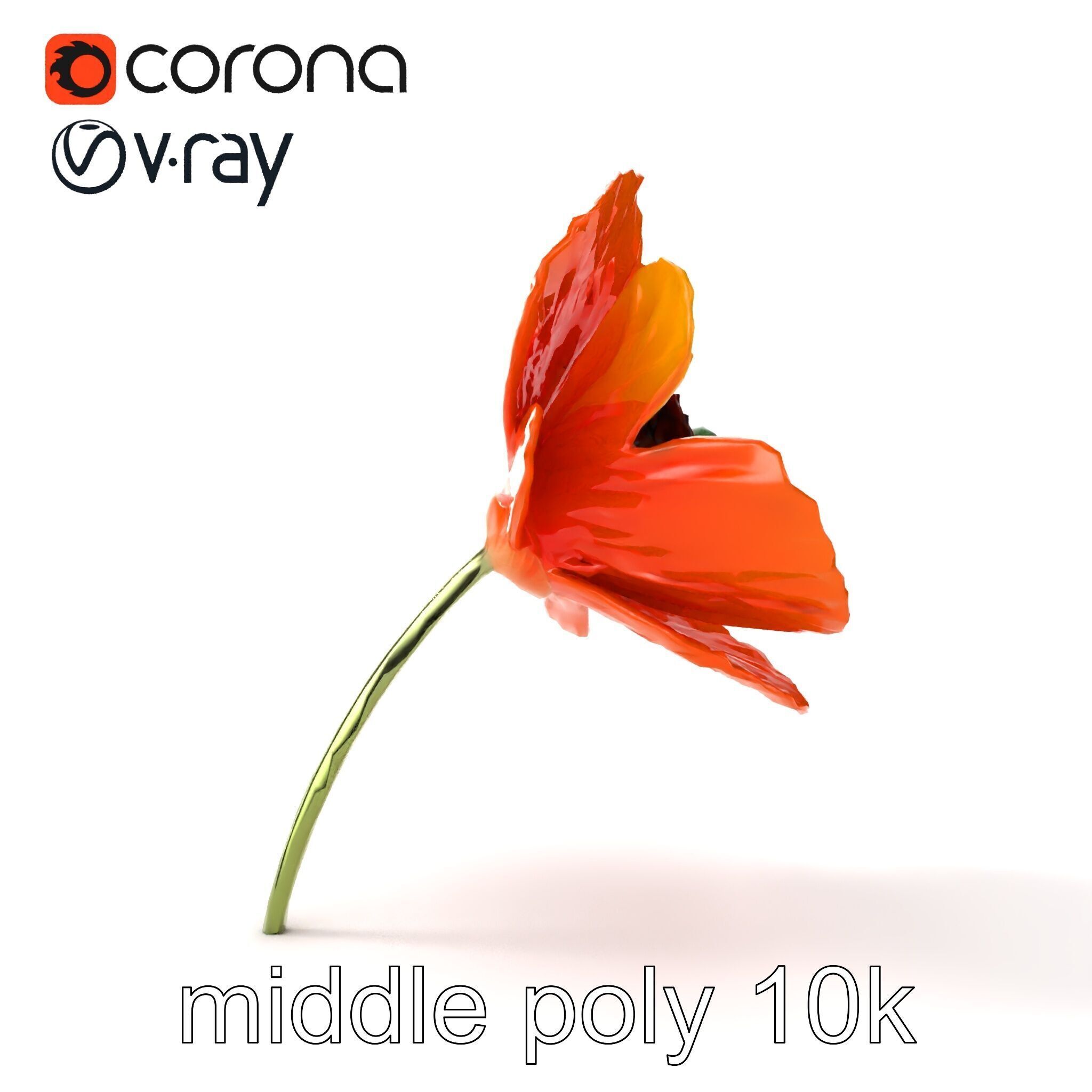 Orange Poppy Flower Realistic Botanical model pack Low-poly 3D model_19