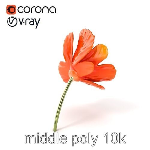 Orange Poppy Flower Realistic Botanical model pack Low-poly 3D model