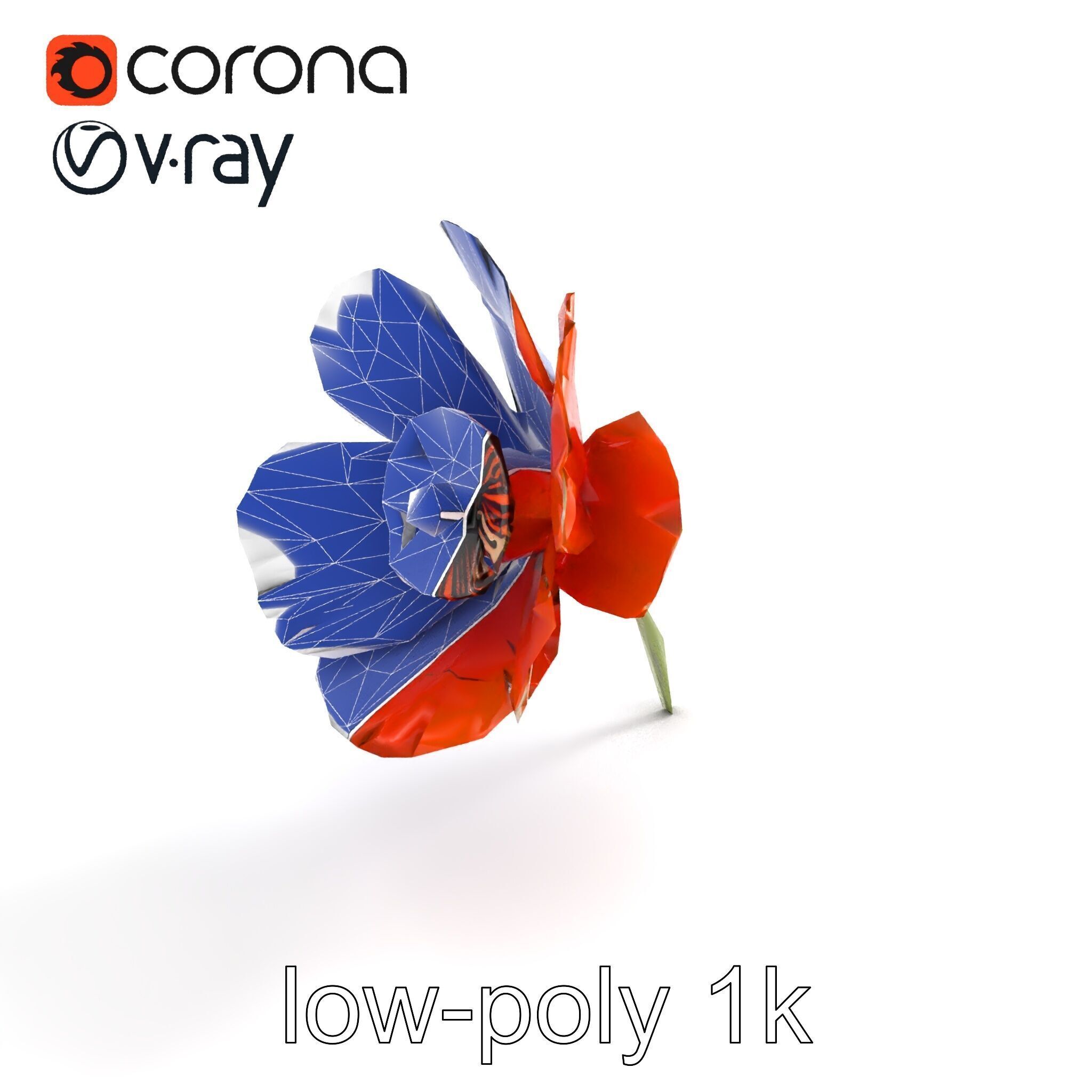 Orange Poppy Flower Realistic Botanical model pack Low-poly 3D model_16