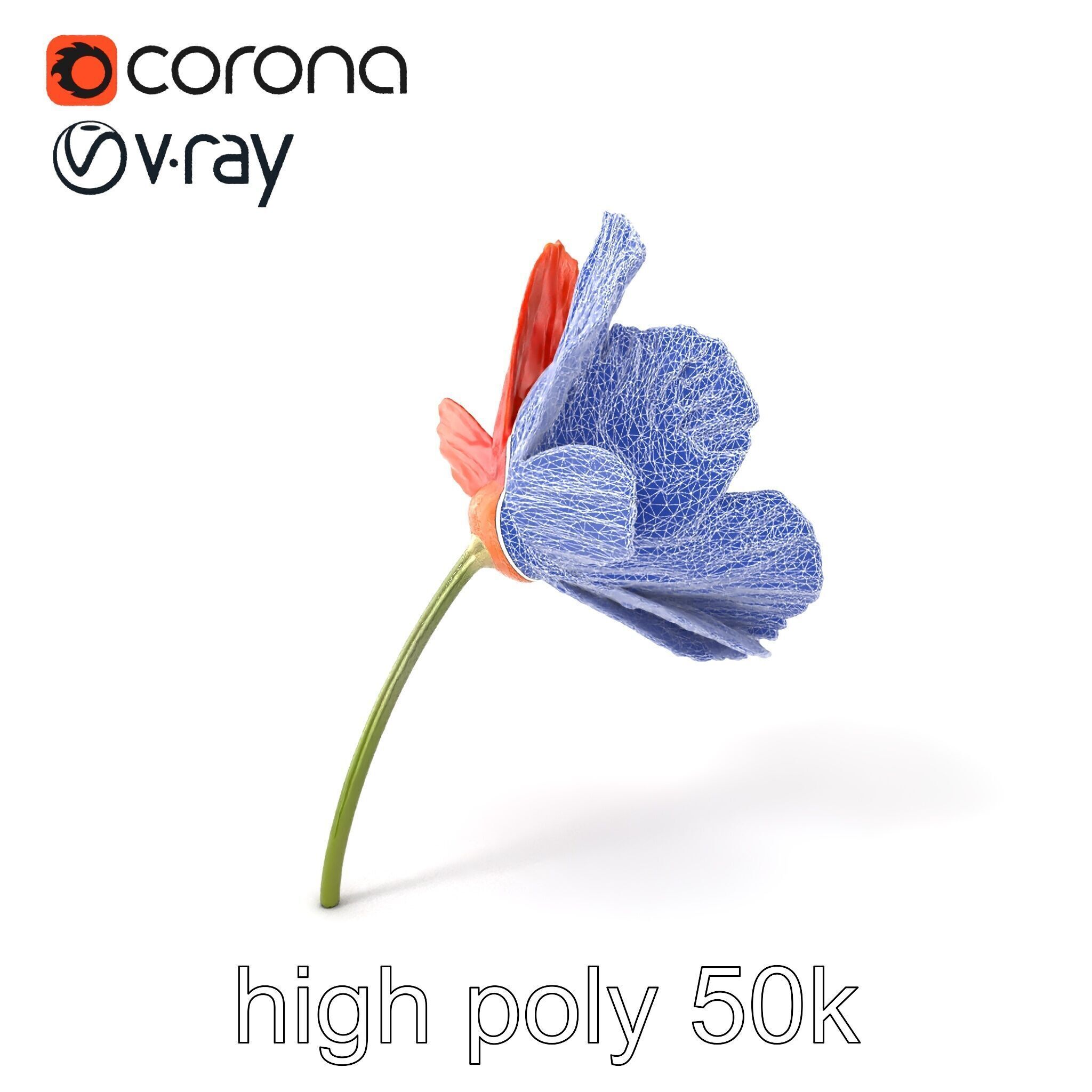 Orange Poppy Flower Realistic Botanical model pack Low-poly 3D model_10