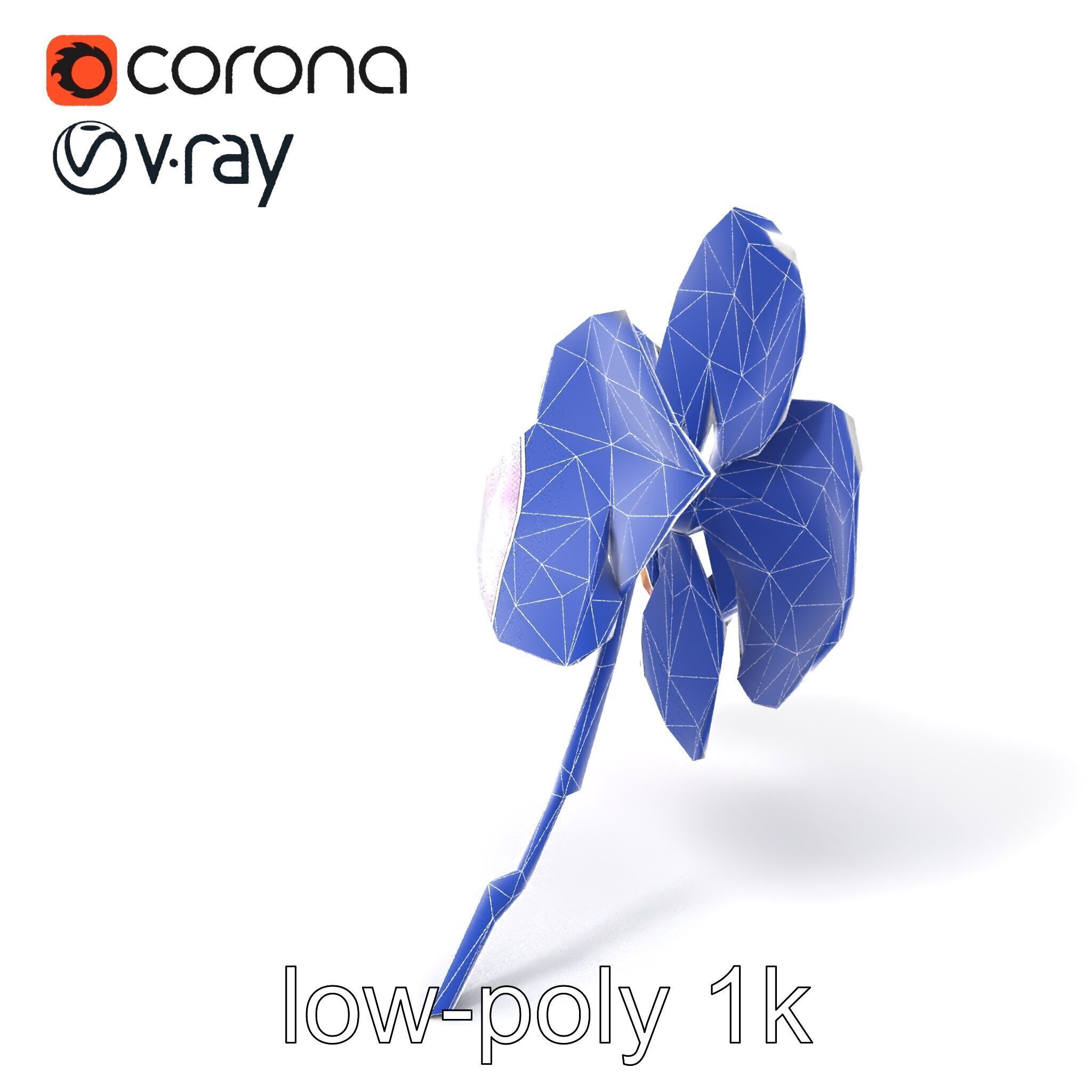Detailed Phalaenopsis Orchid Flower model pack Low-poly 3D model_6