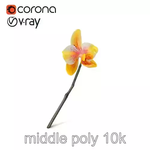 Vivid Yellow Oncidium Orchid Blossom model pack Low-poly 3D model