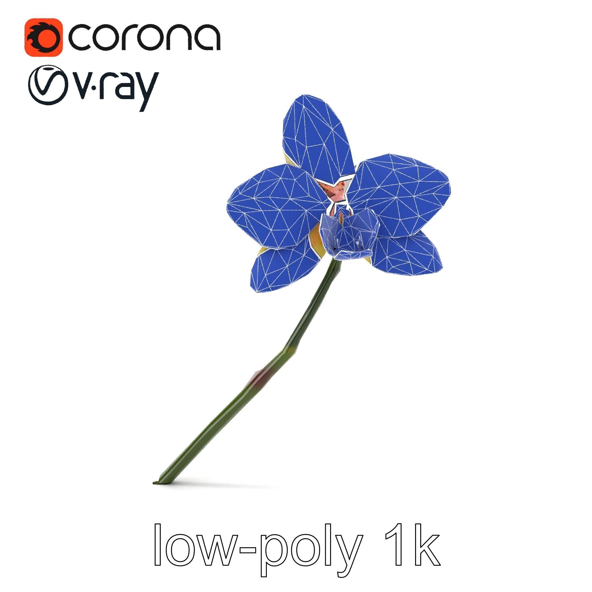 Vivid Yellow Oncidium Orchid Blossom model pack Low-poly 3D model_29