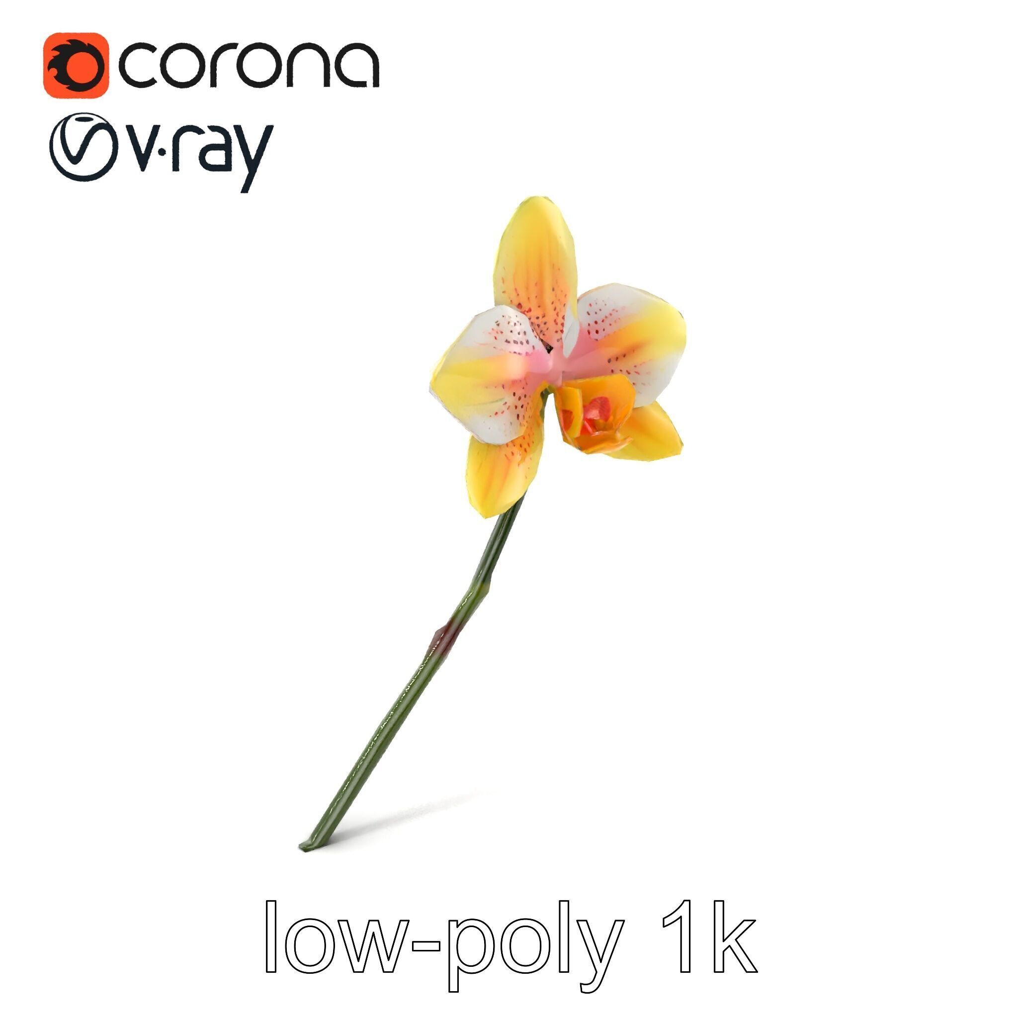 Vivid Yellow Oncidium Orchid Blossom model pack Low-poly 3D model_4
