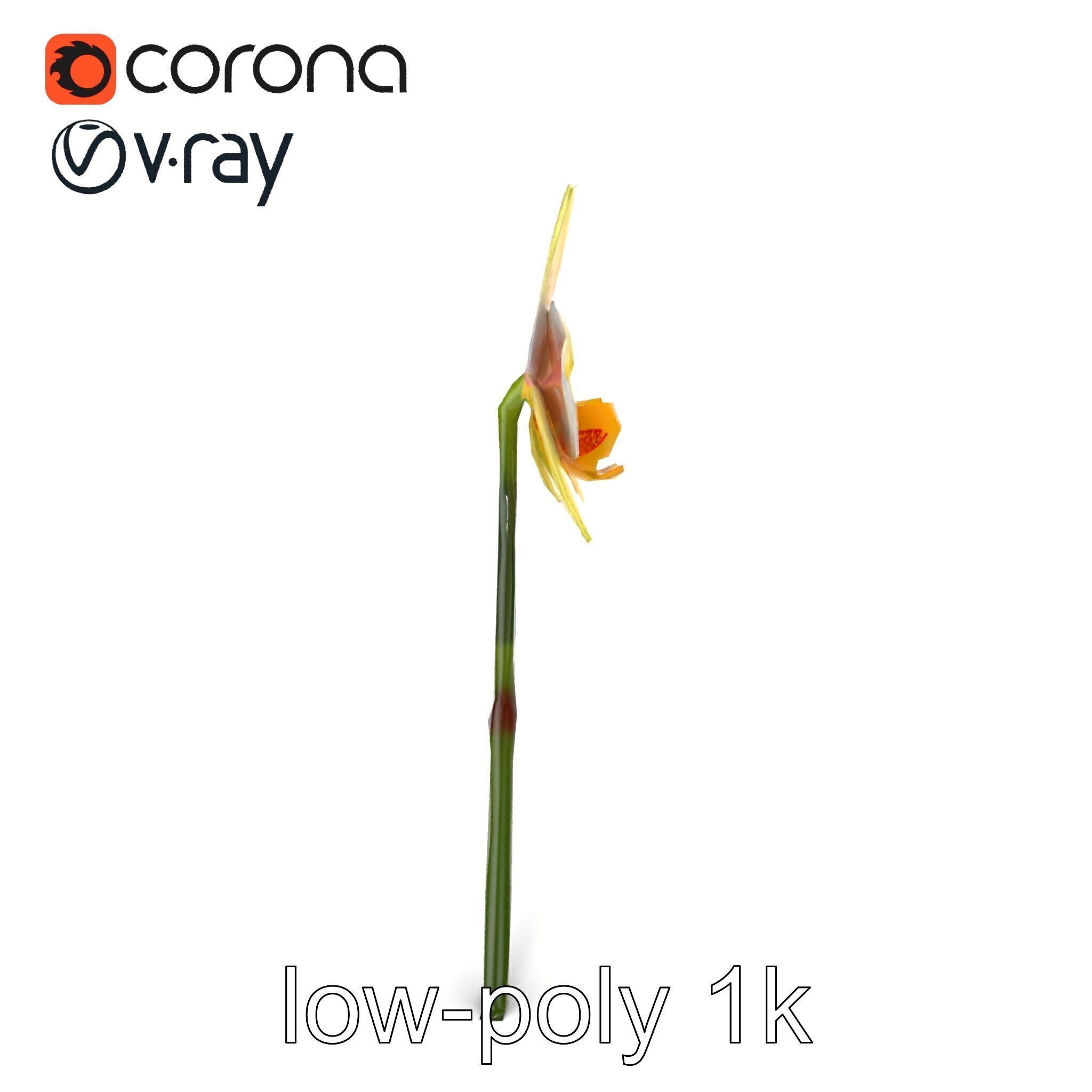 Vivid Yellow Oncidium Orchid Blossom model pack Low-poly 3D model_14