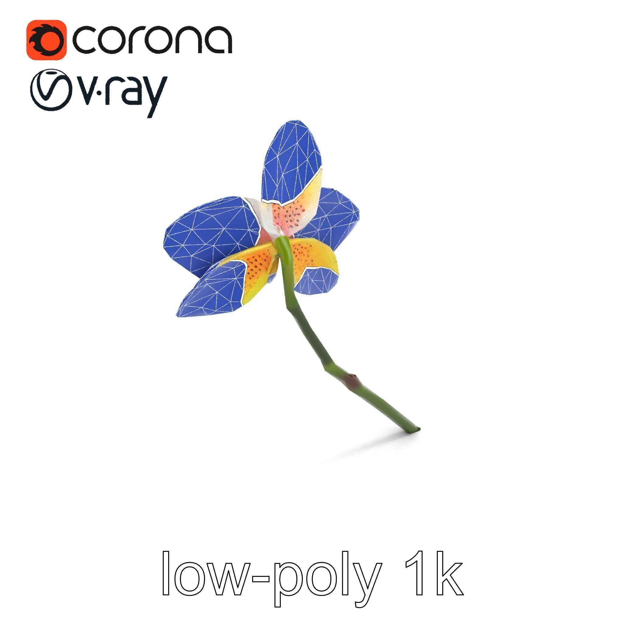 Vivid Yellow Oncidium Orchid Blossom model pack Low-poly 3D model_22