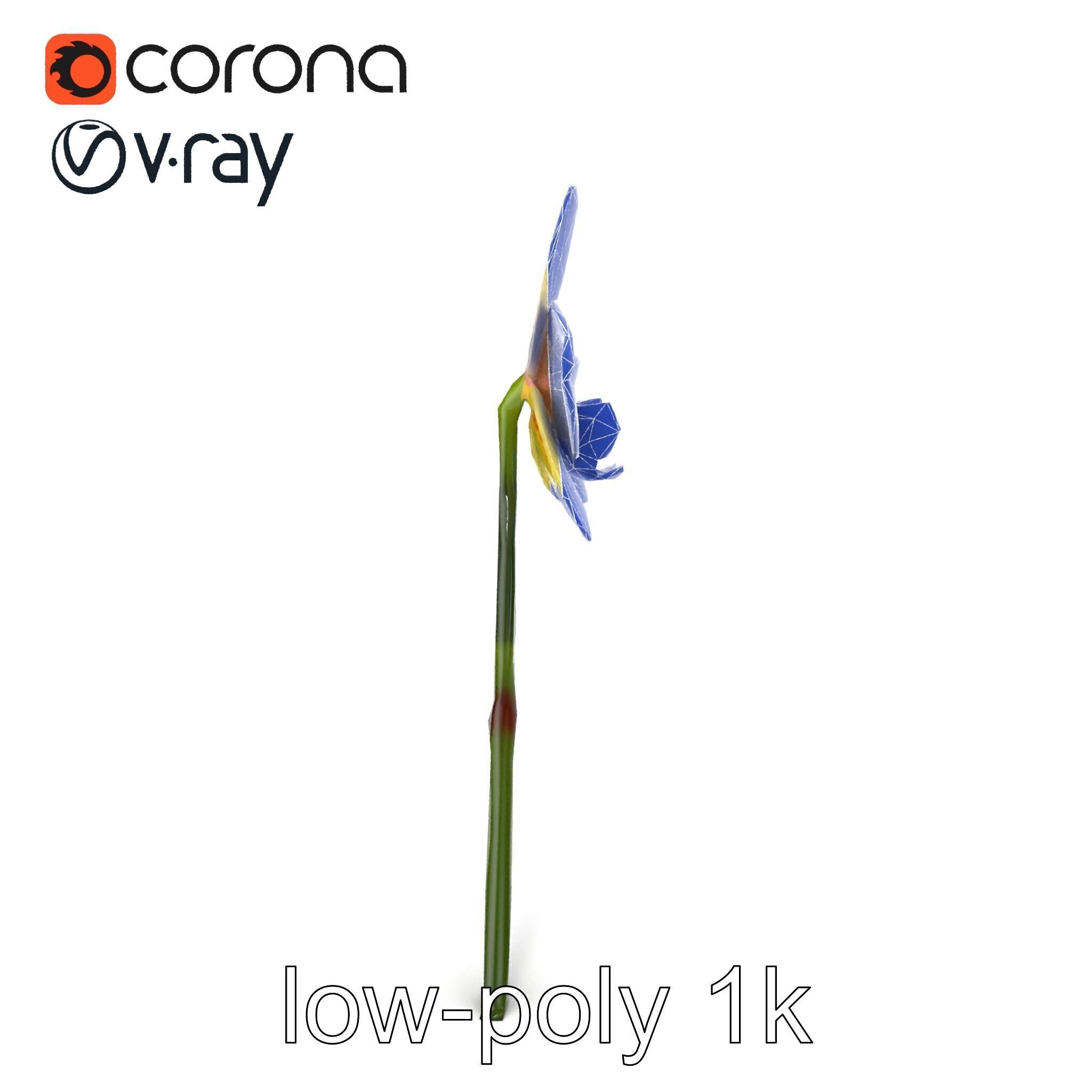 Vivid Yellow Oncidium Orchid Blossom model pack Low-poly 3D model_20