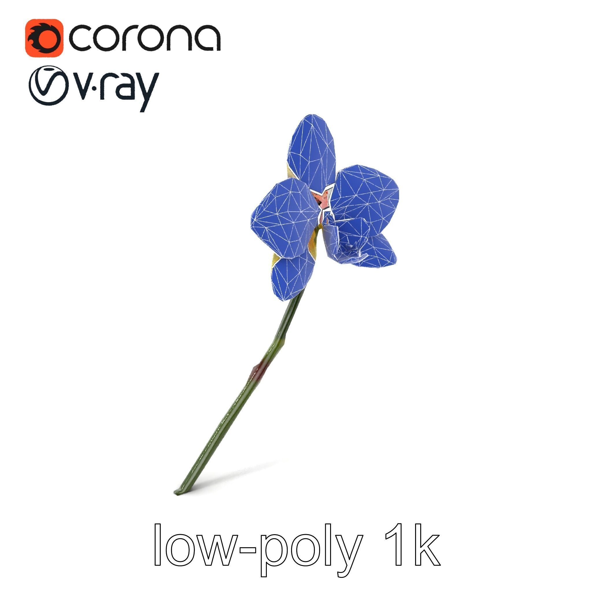 Vivid Yellow Oncidium Orchid Blossom model pack Low-poly 3D model_6