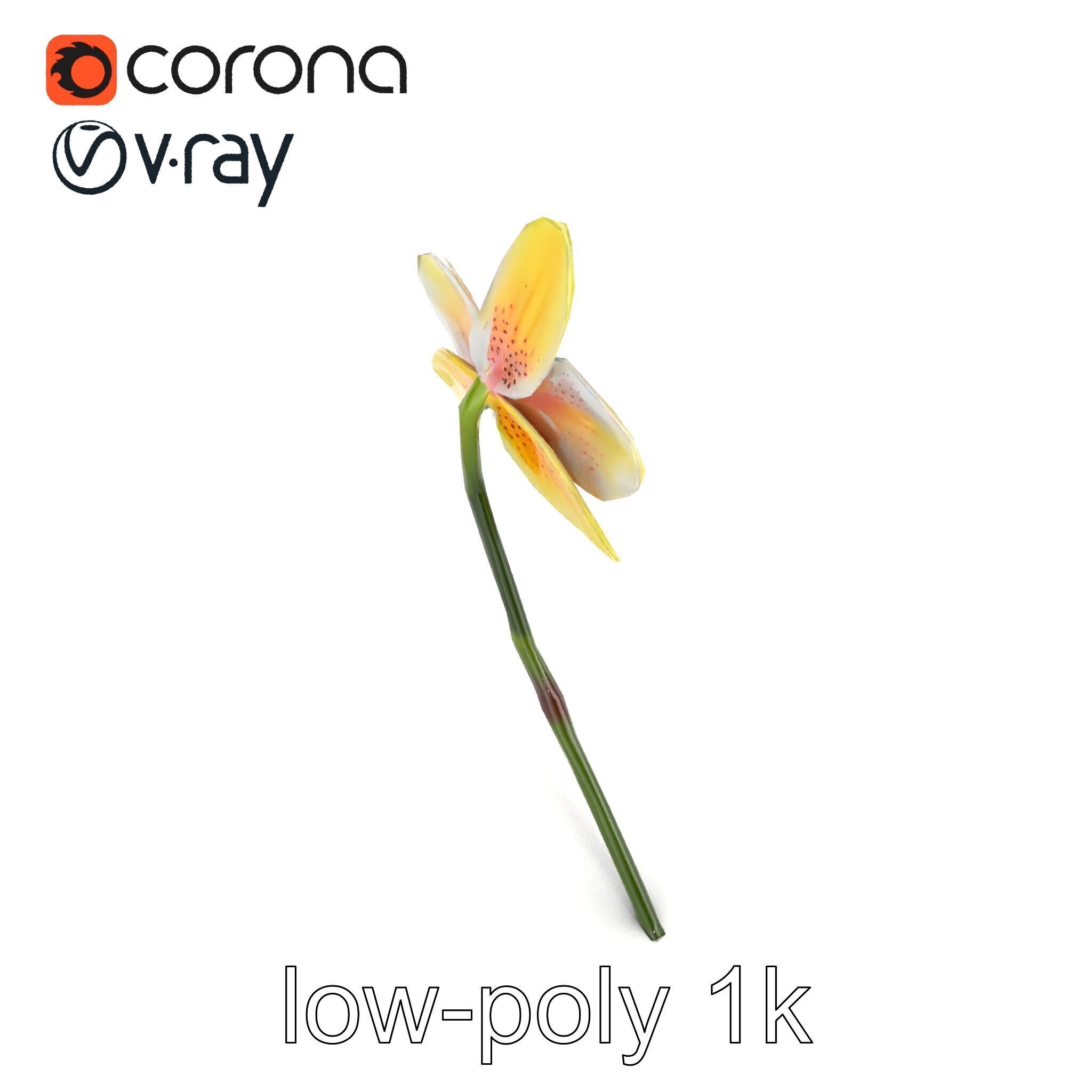 Vivid Yellow Oncidium Orchid Blossom model pack Low-poly 3D model_15