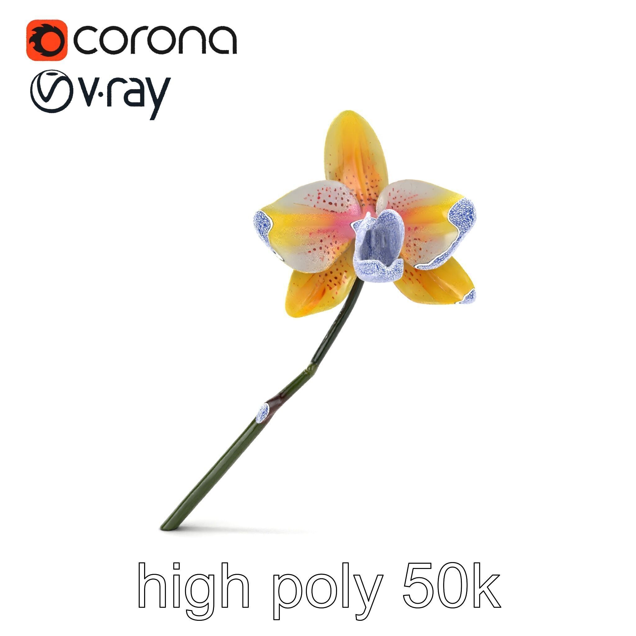 Vivid Yellow Oncidium Orchid Blossom model pack Low-poly 3D model_25