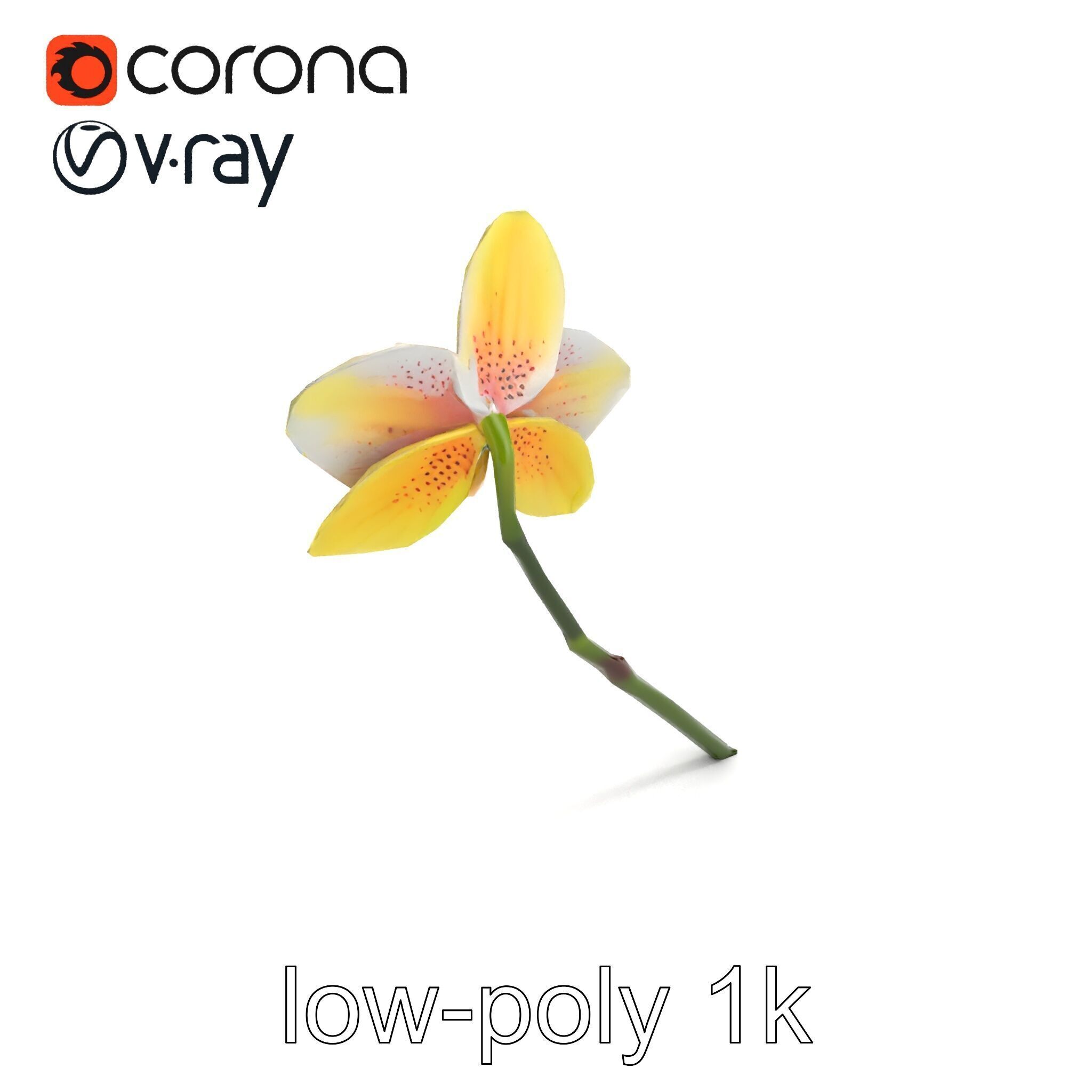 Vivid Yellow Oncidium Orchid Blossom model pack Low-poly 3D model_8