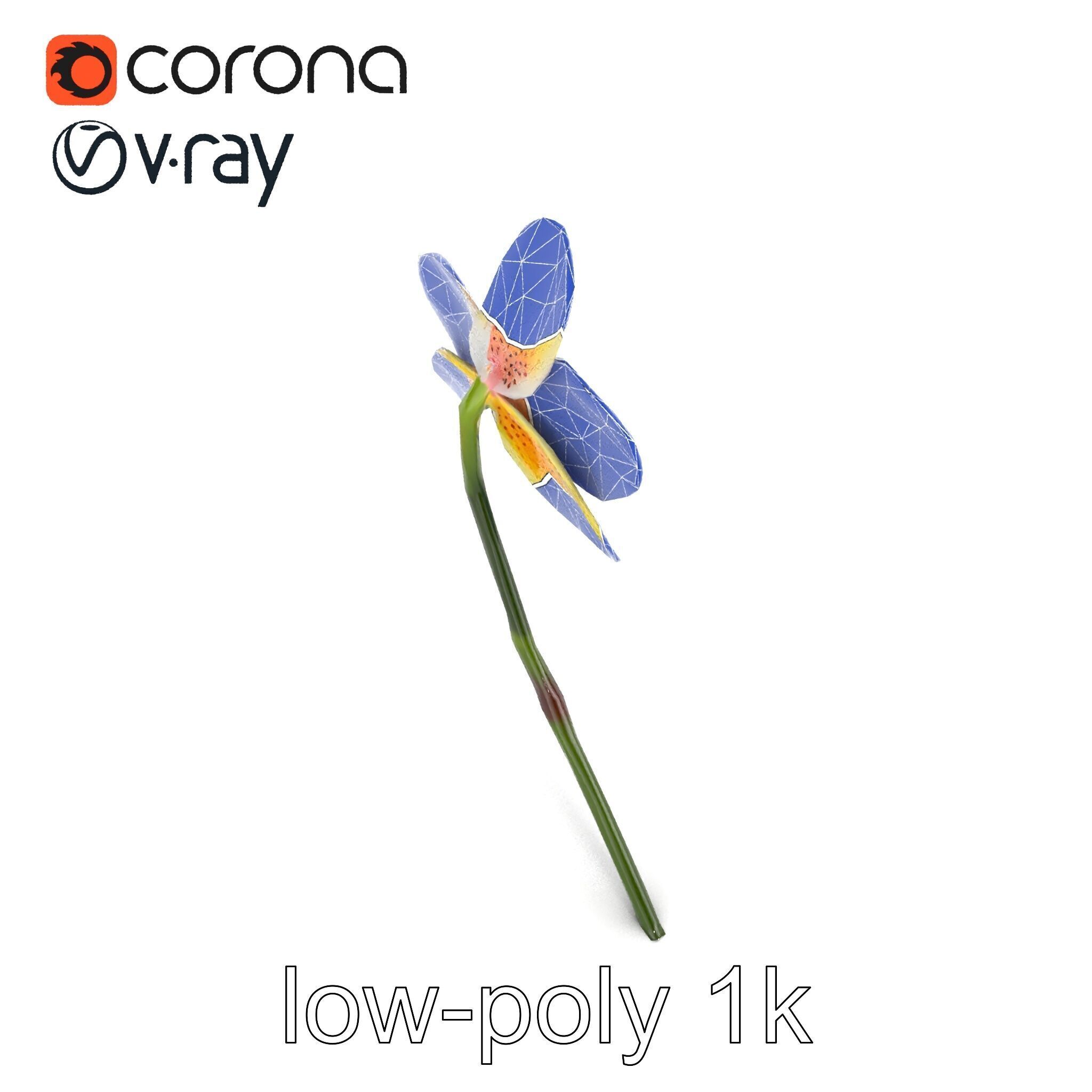 Vivid Yellow Oncidium Orchid Blossom model pack Low-poly 3D model_23