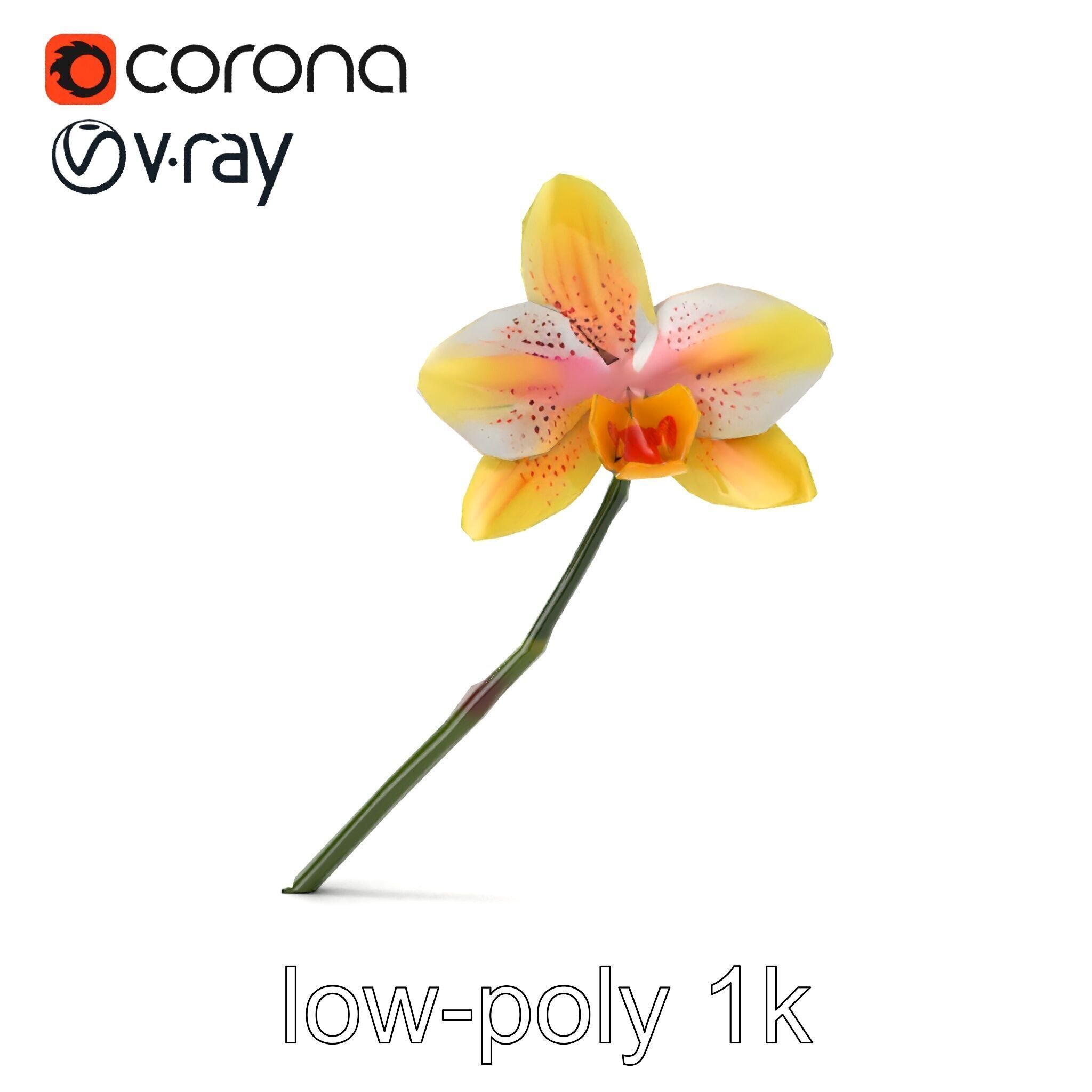 Vivid Yellow Oncidium Orchid Blossom model pack Low-poly 3D model_19
